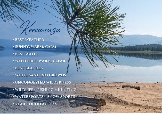 Text overlay on a lakeside scene with pine tree branches, mountains, and sandy beach listing Kocoanusa features like best weather, beaches, wilderness, wildlife, watersports, and year-round access.