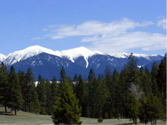 Madera Ranch Resort BC Snow-capped mountains in the background with pine trees in the foreground under a partly cloudy sky.