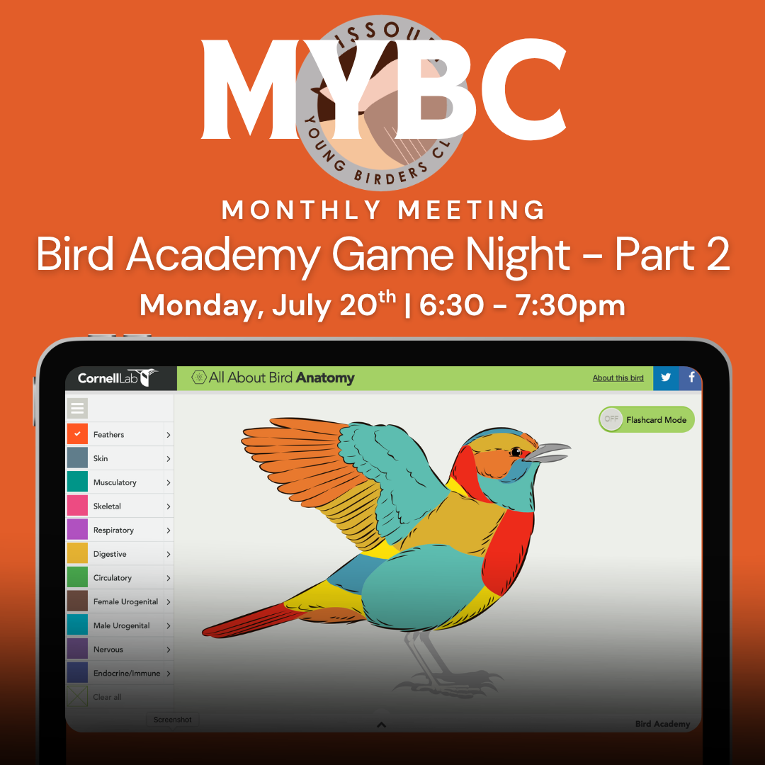 Missouri Young Birders Club Monthly Meeting