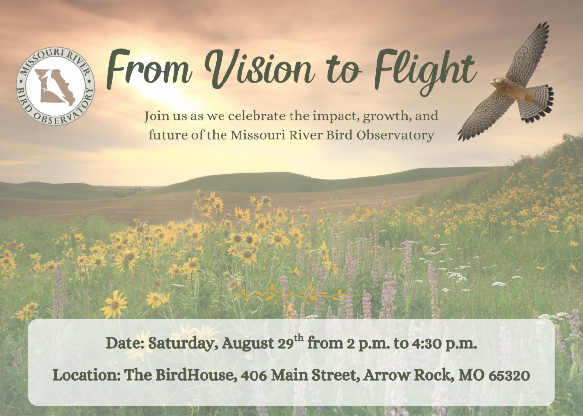 From Vision to Flight