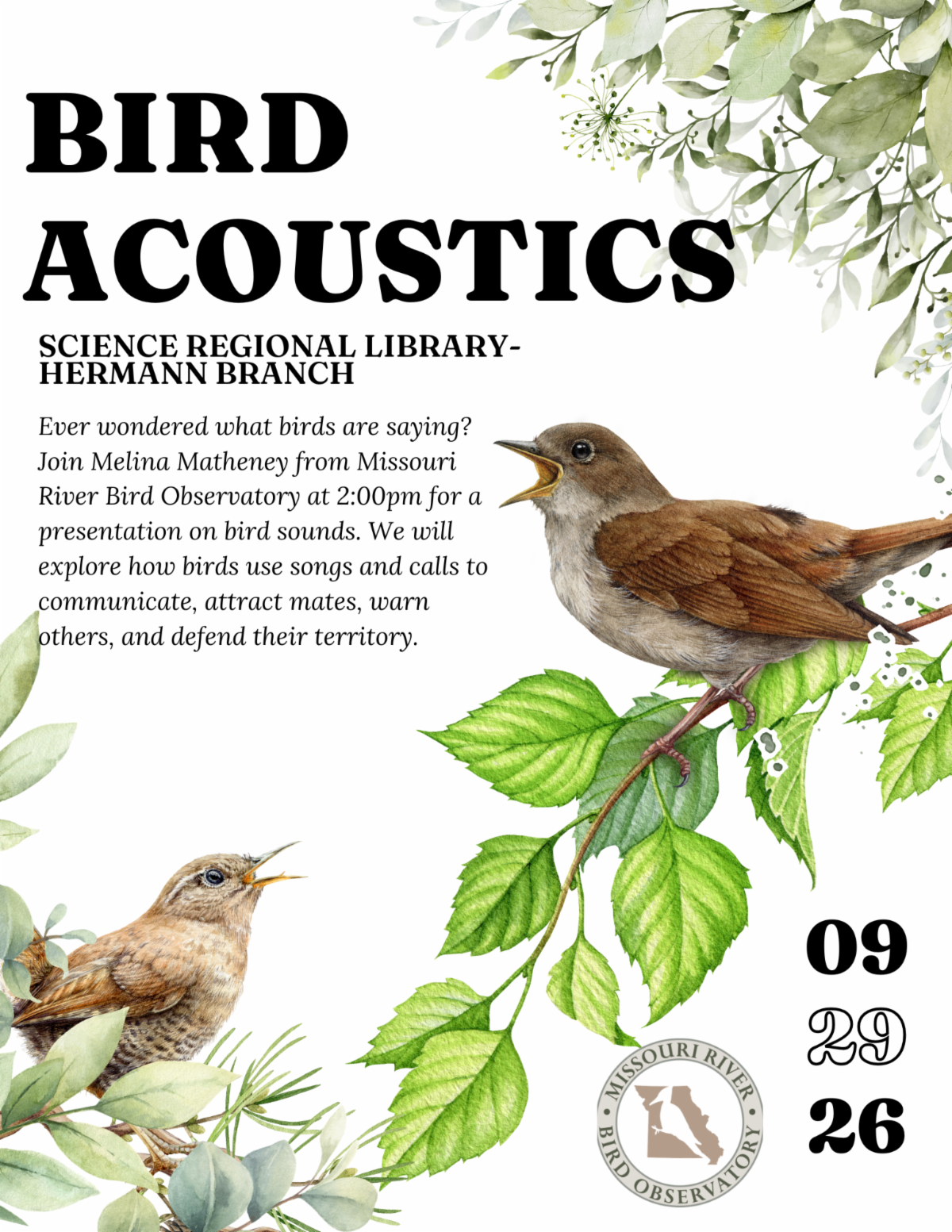 Bird Acoustics Presentation﻿