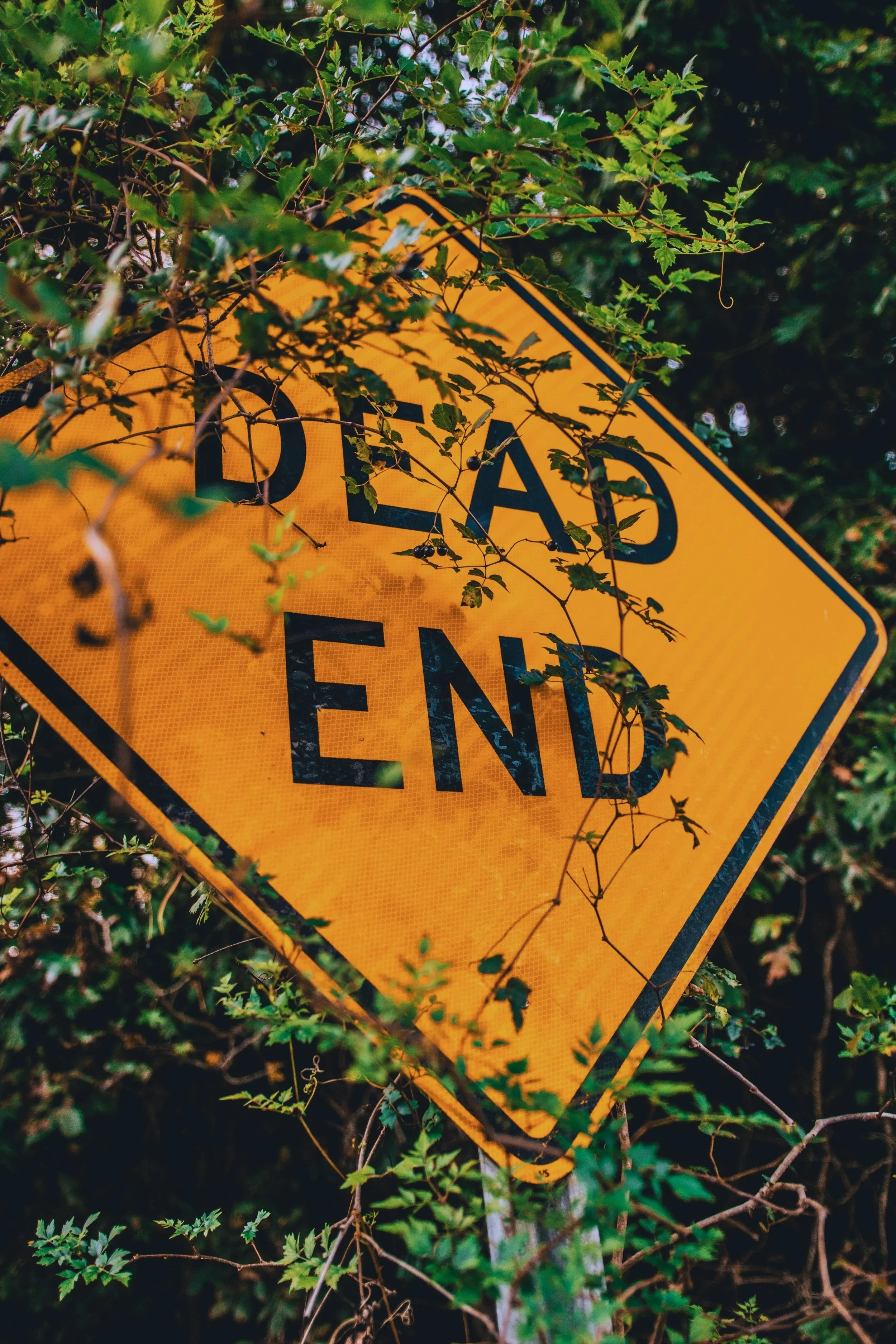 a rusty yellow metal sign with black letters partially covered by green leafy branches and vines.