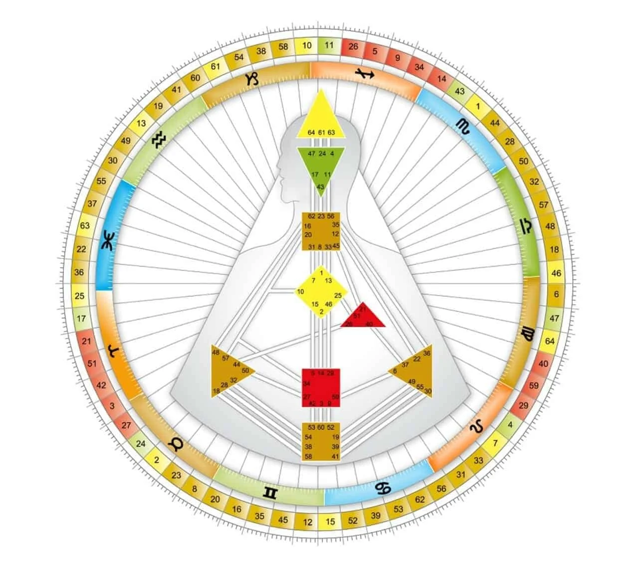 A human silhouette is overlaid on a colorful astrology chart with symbols for the zodiac signs around the outer circle and numbers inside different colored sections.