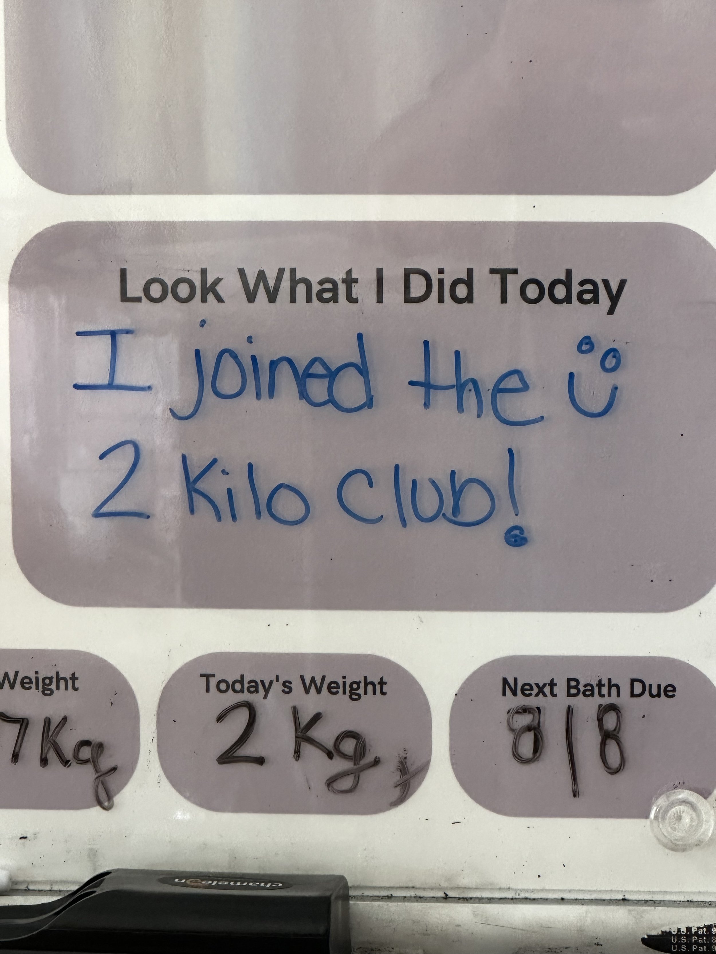 8-7-2.jpeg