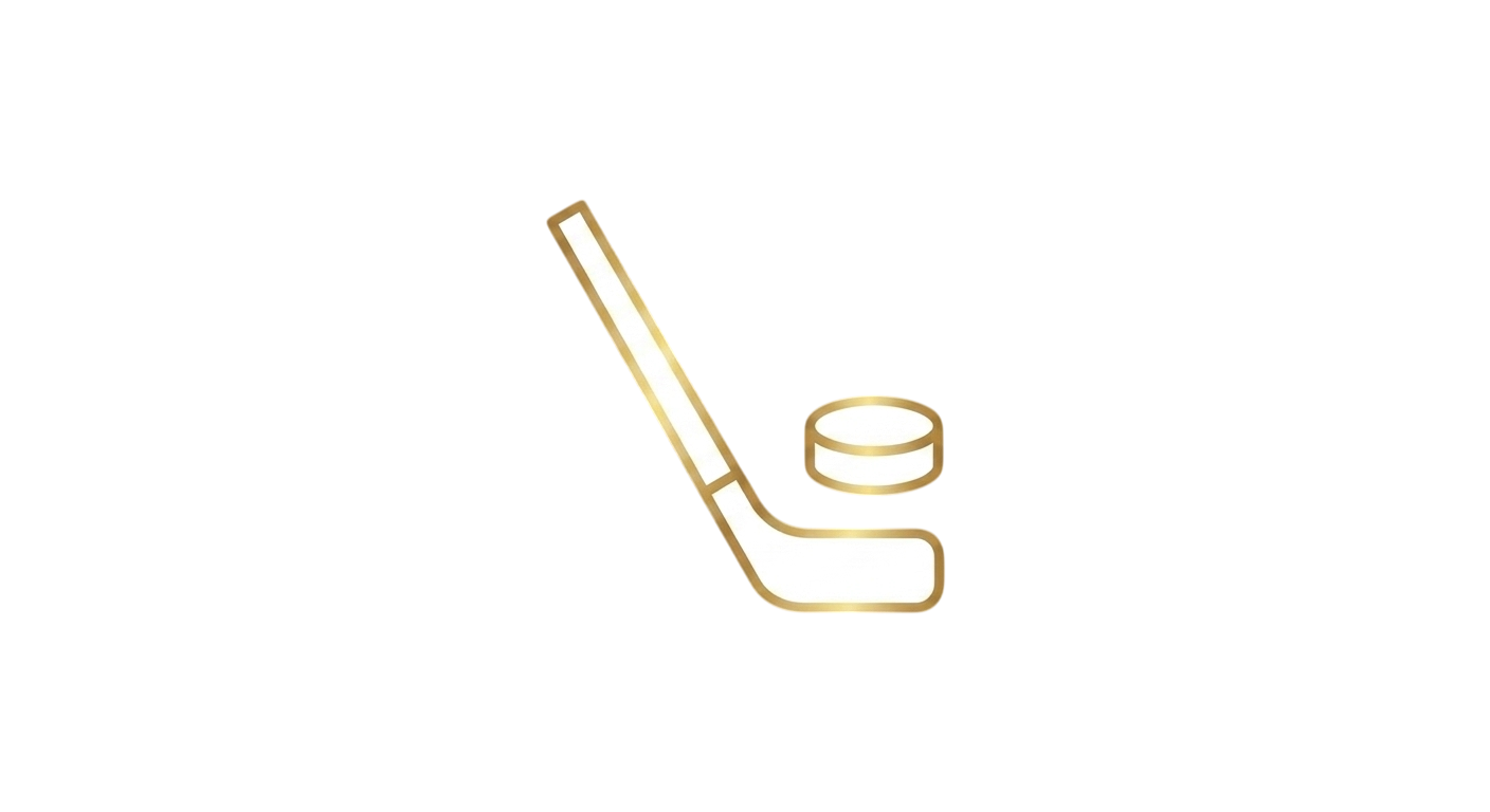 Illustration of a hockey puck on an ice rink.