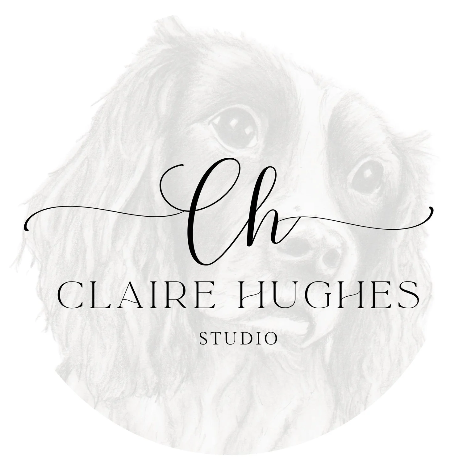 Claire Hughes Studio