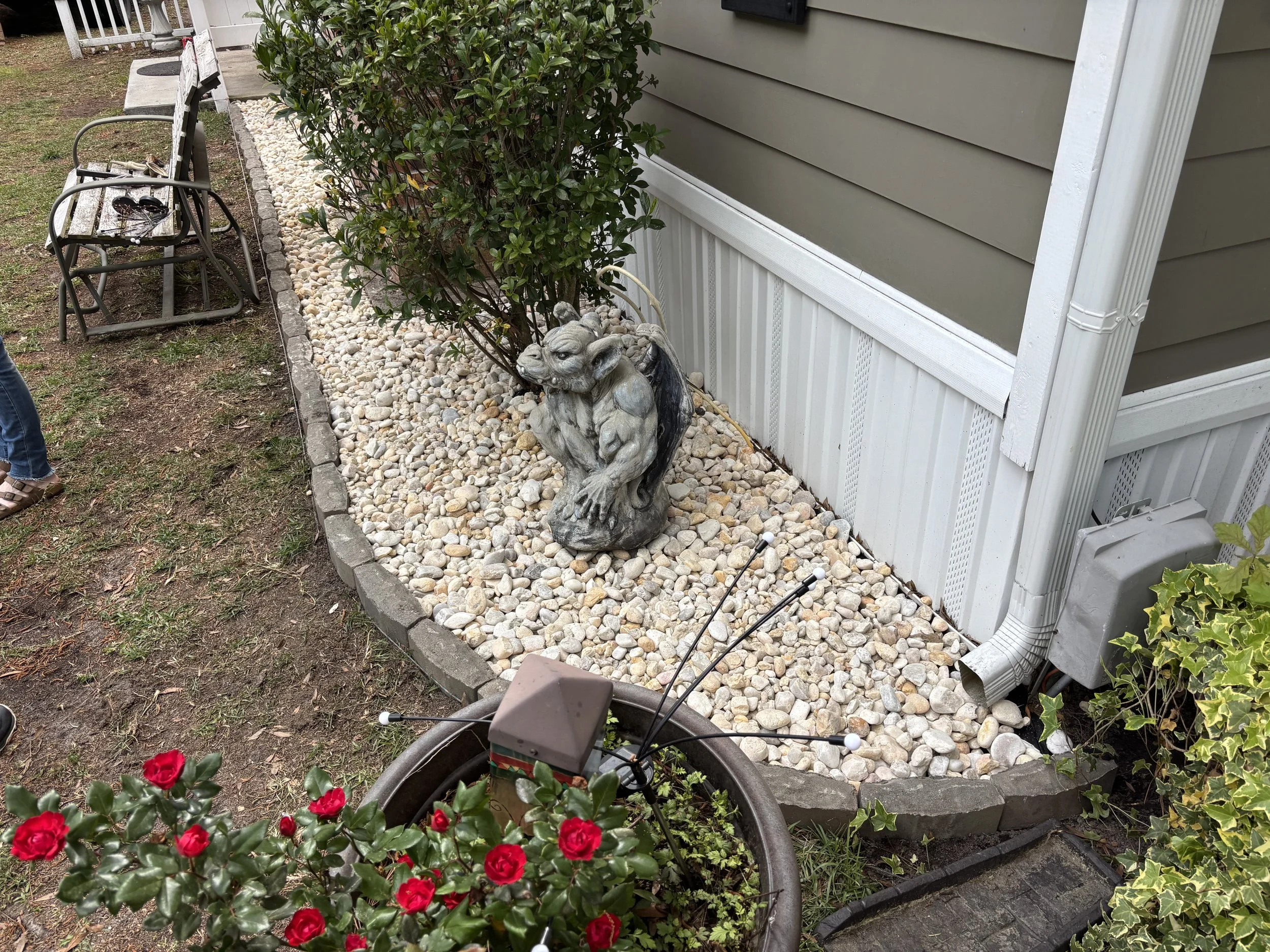 IMG_3164.jpeg