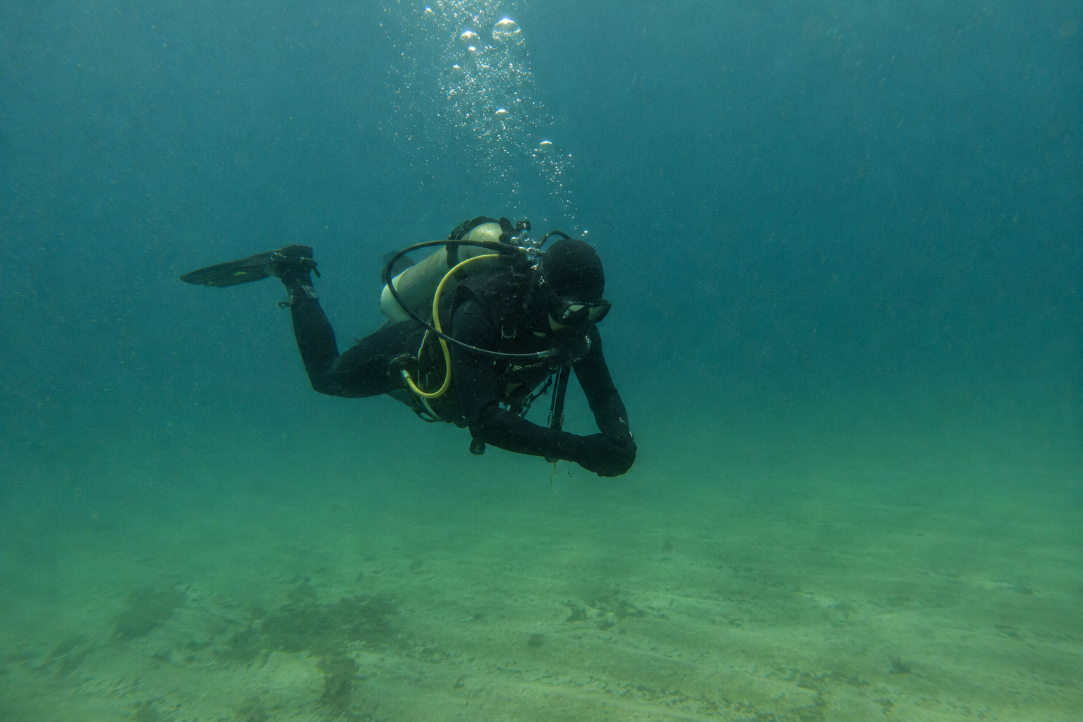 A scuba diver underwater wearing a diving suit, mask, and fins, with a yellow air tank, swimming near the ocean floor.