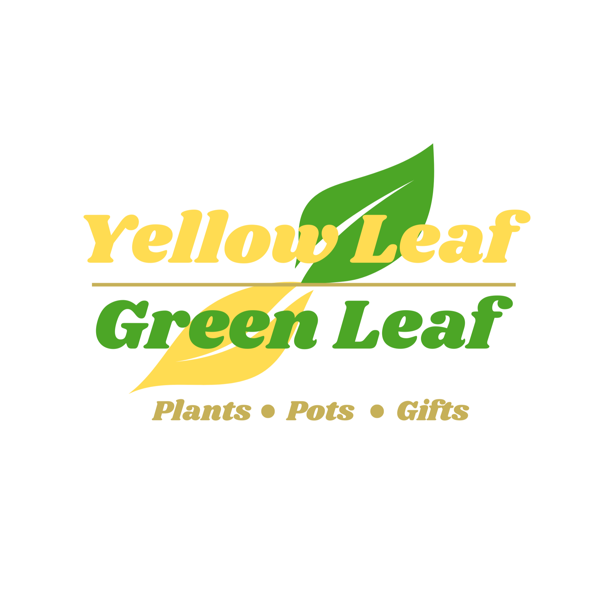 Store Gift Cards