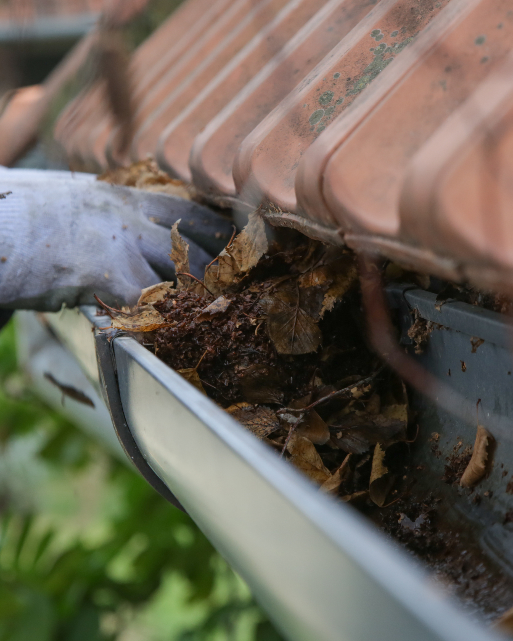 Gutter Cleaning Residential