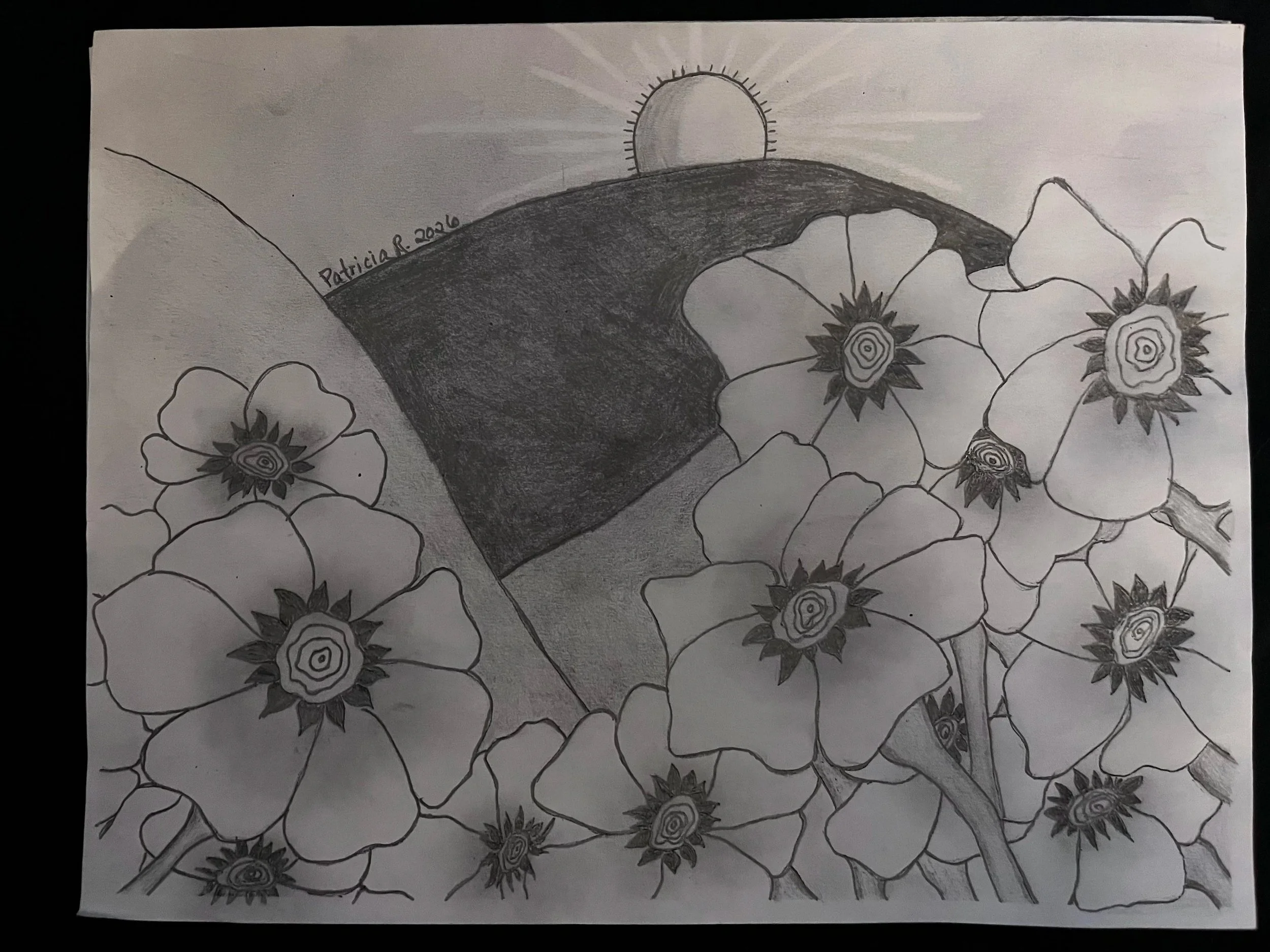 06/09/2026 An 8.5x11" pencil & reaser drawing of California Hills and Fields of Poppies