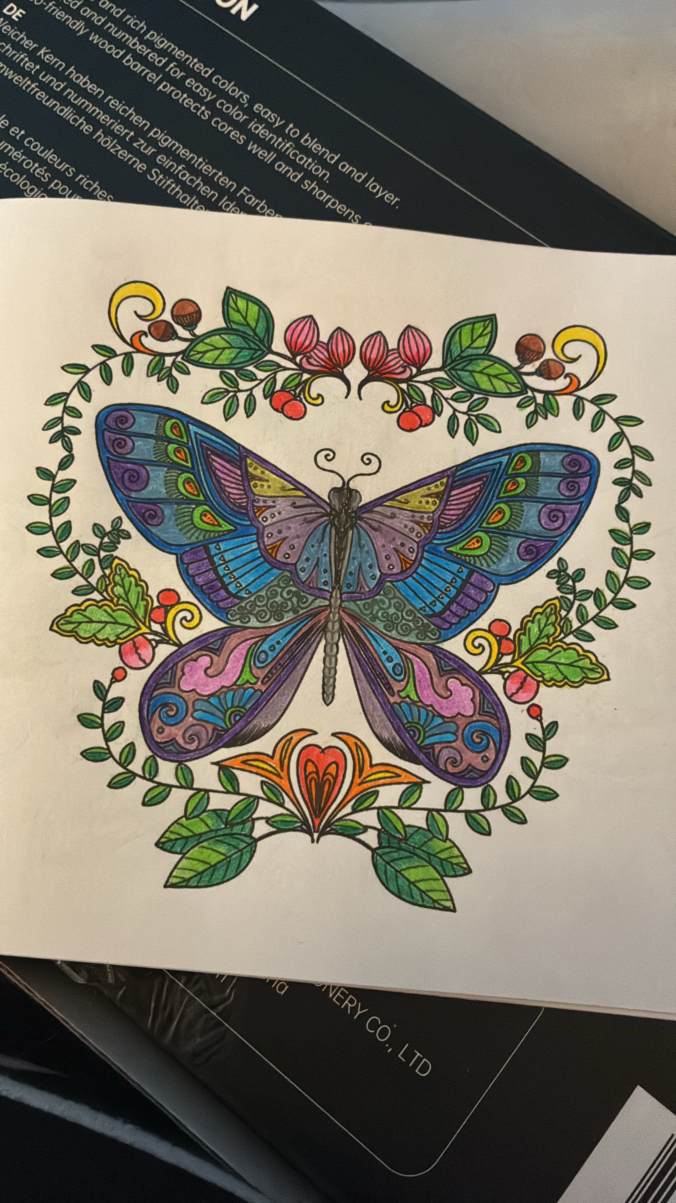 07/03/2026 Beautiful butterfly I colored for my Mama. 