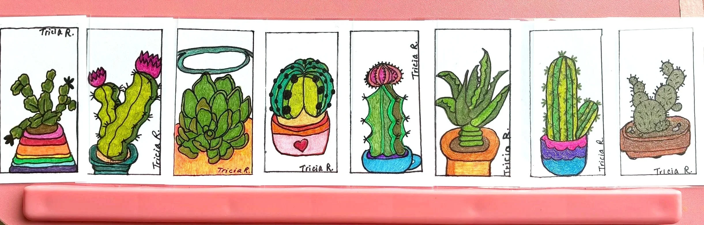 Colored illustration of various potted cacti with different shapes and flowers, signed by Tricia R.