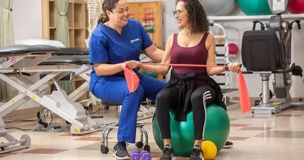 Physical Therapist