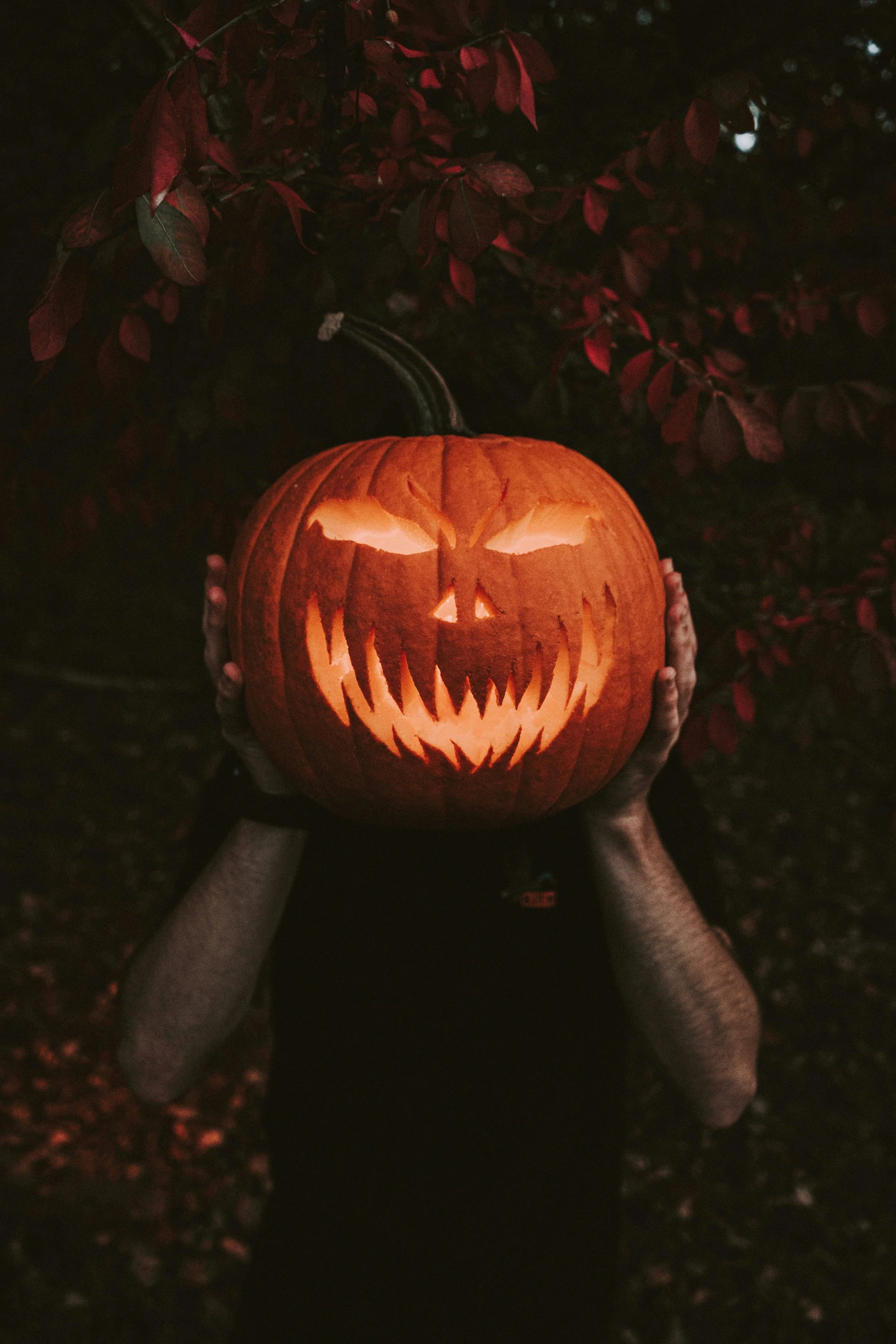 Holiday - Happy Halloween!