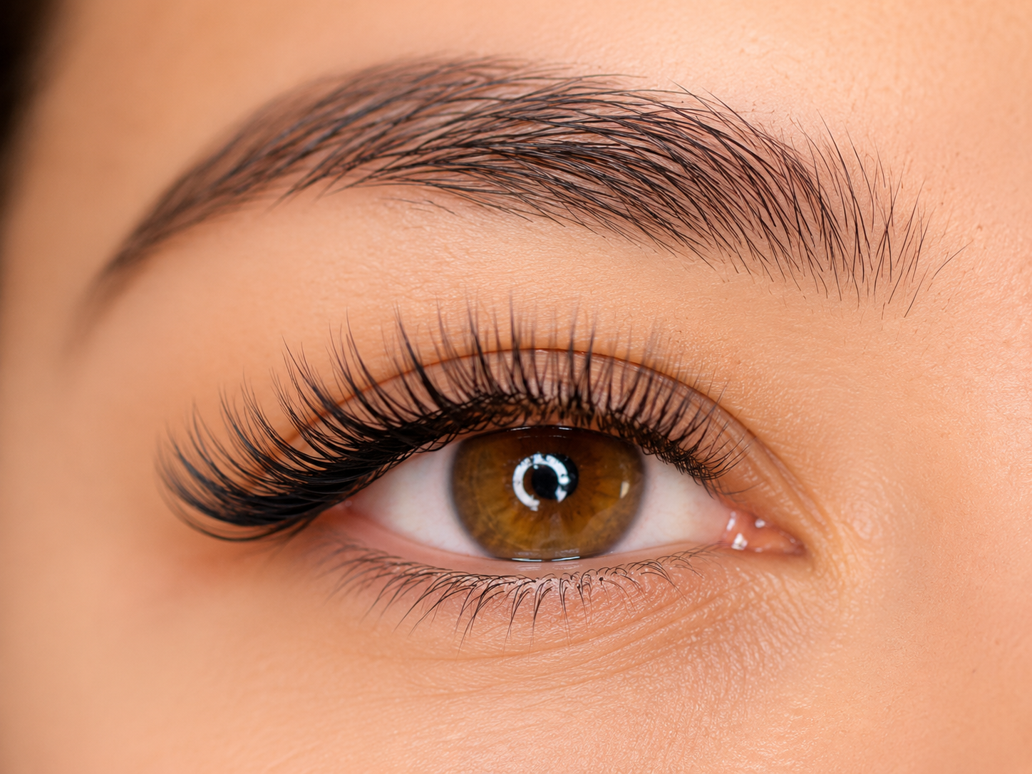 Close-up of a woman's brown eye with long, thick eyelashes and well-groomed eyebrows.