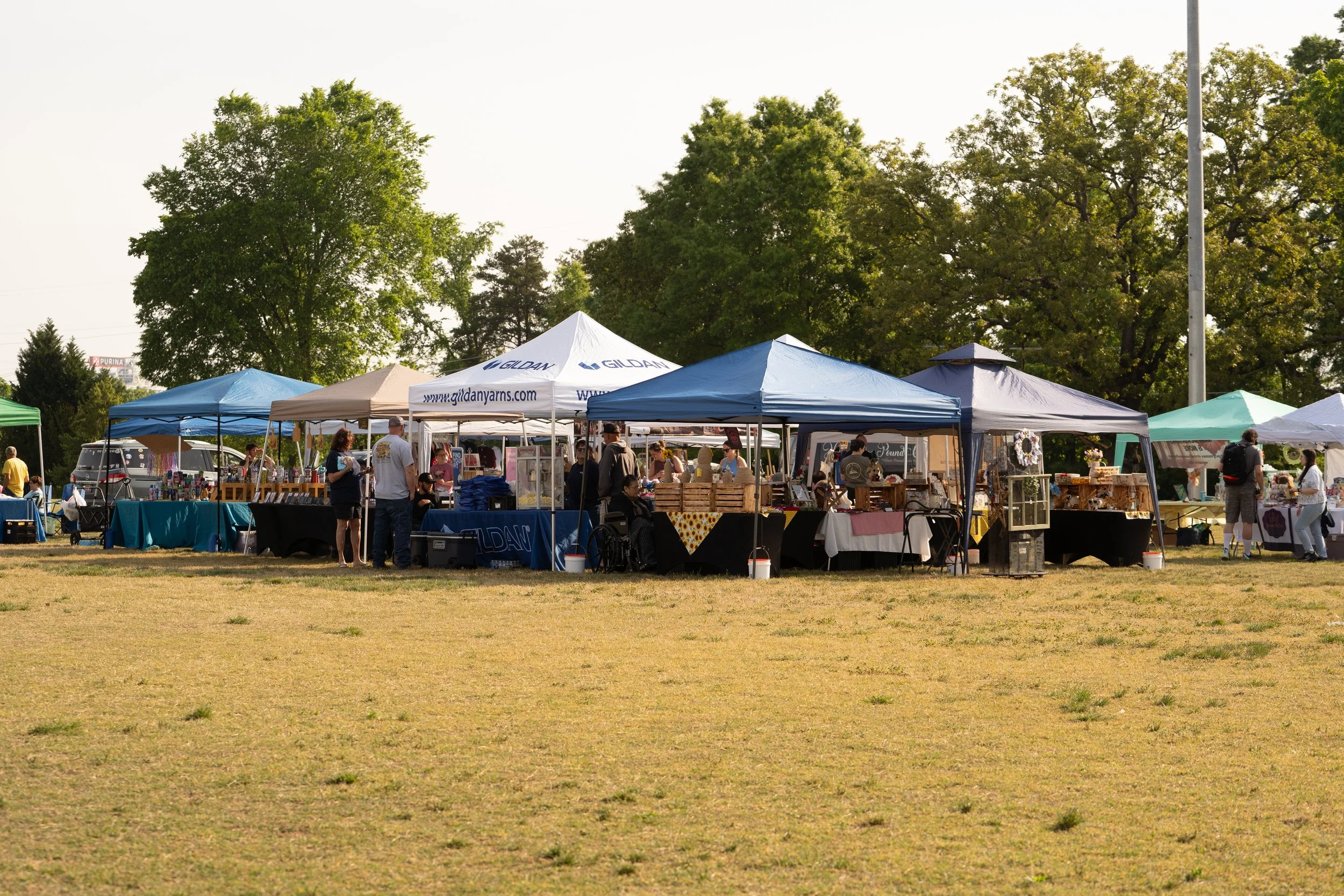 Outdoor market with multiple vendor tents set up on a grassy field, people shopping and browsing, tall trees in the background, and a bright, clear sky.