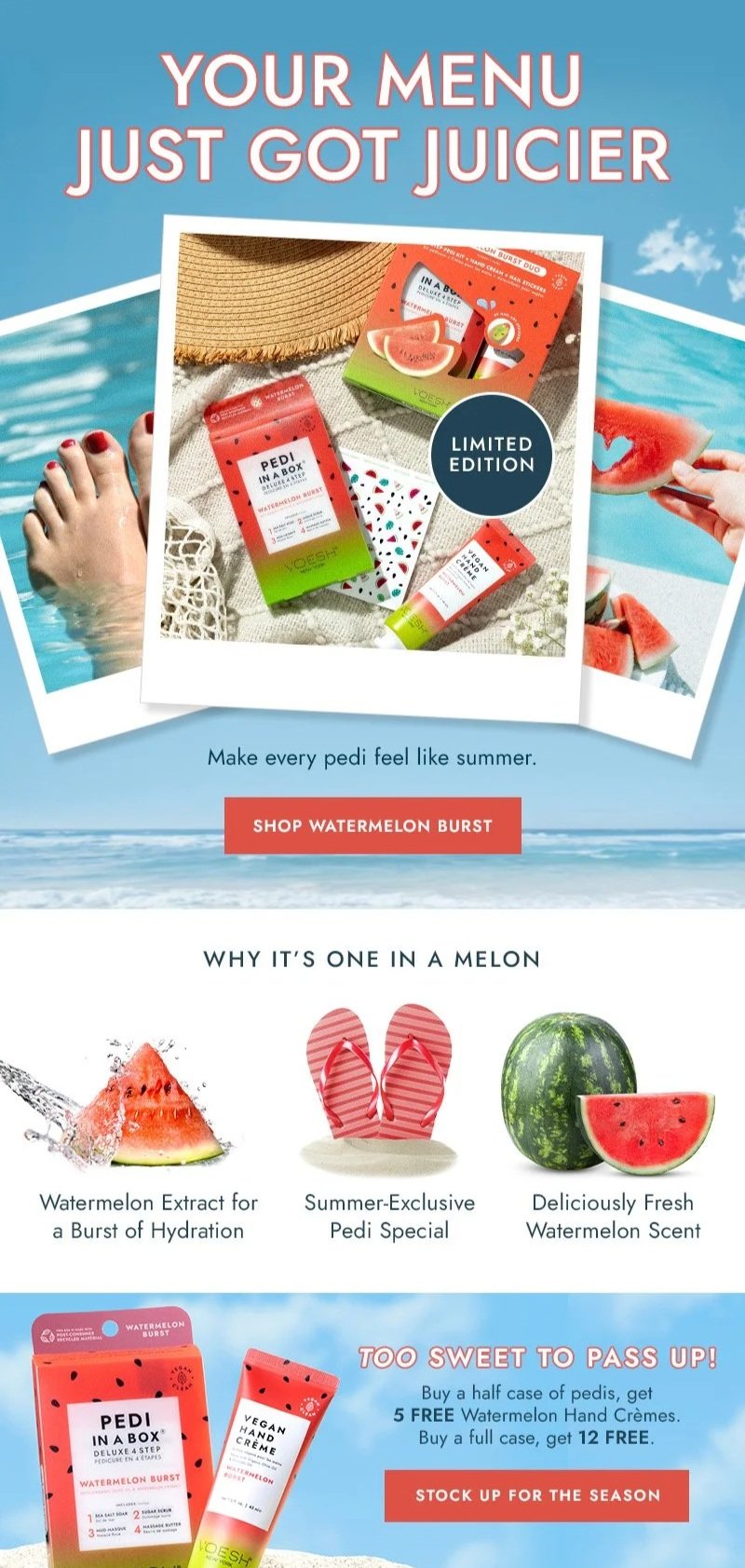 VO_06.12.26-WatermelonIngredients.jpg