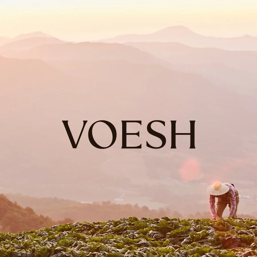 VOESH 2026 Relaunch