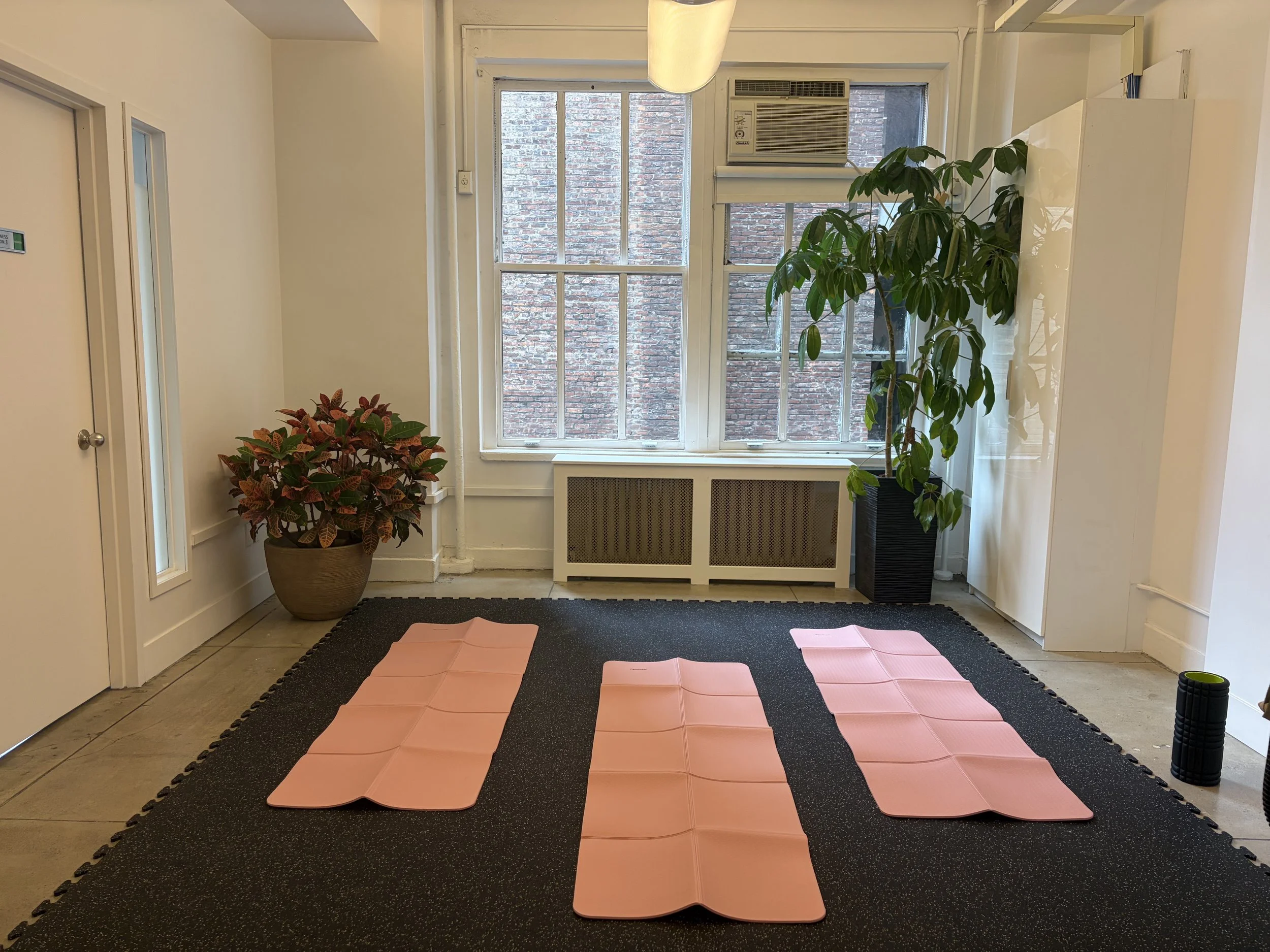 A fitness or yoga studio with peach-colored mats arranged in two rows on a black foam mat floor, two potted plants (one with red and green leaves, and the other with green leaves) near a window, a wall air conditioning unit, and large windows showing a brick wall outside.