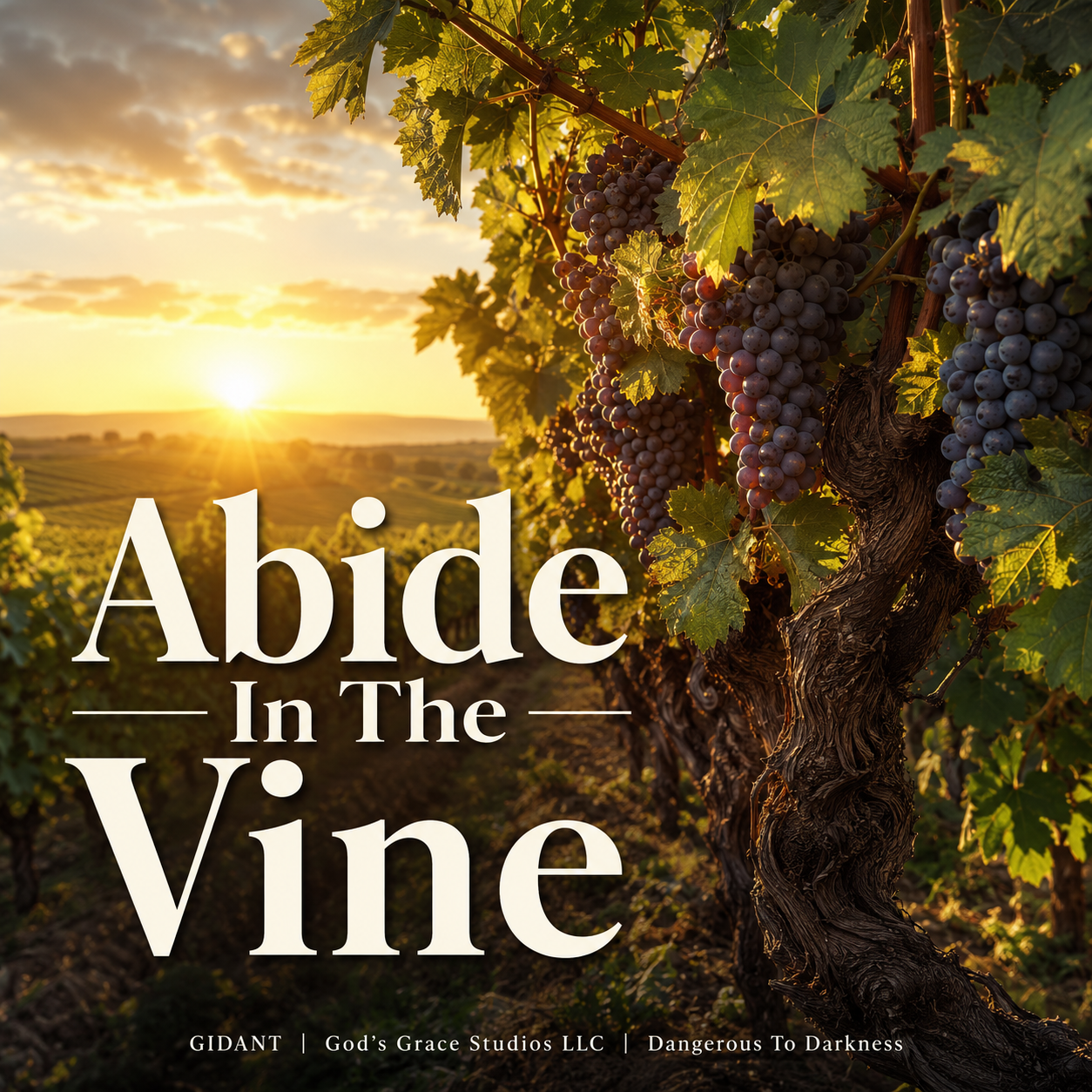 Abide In The Vine