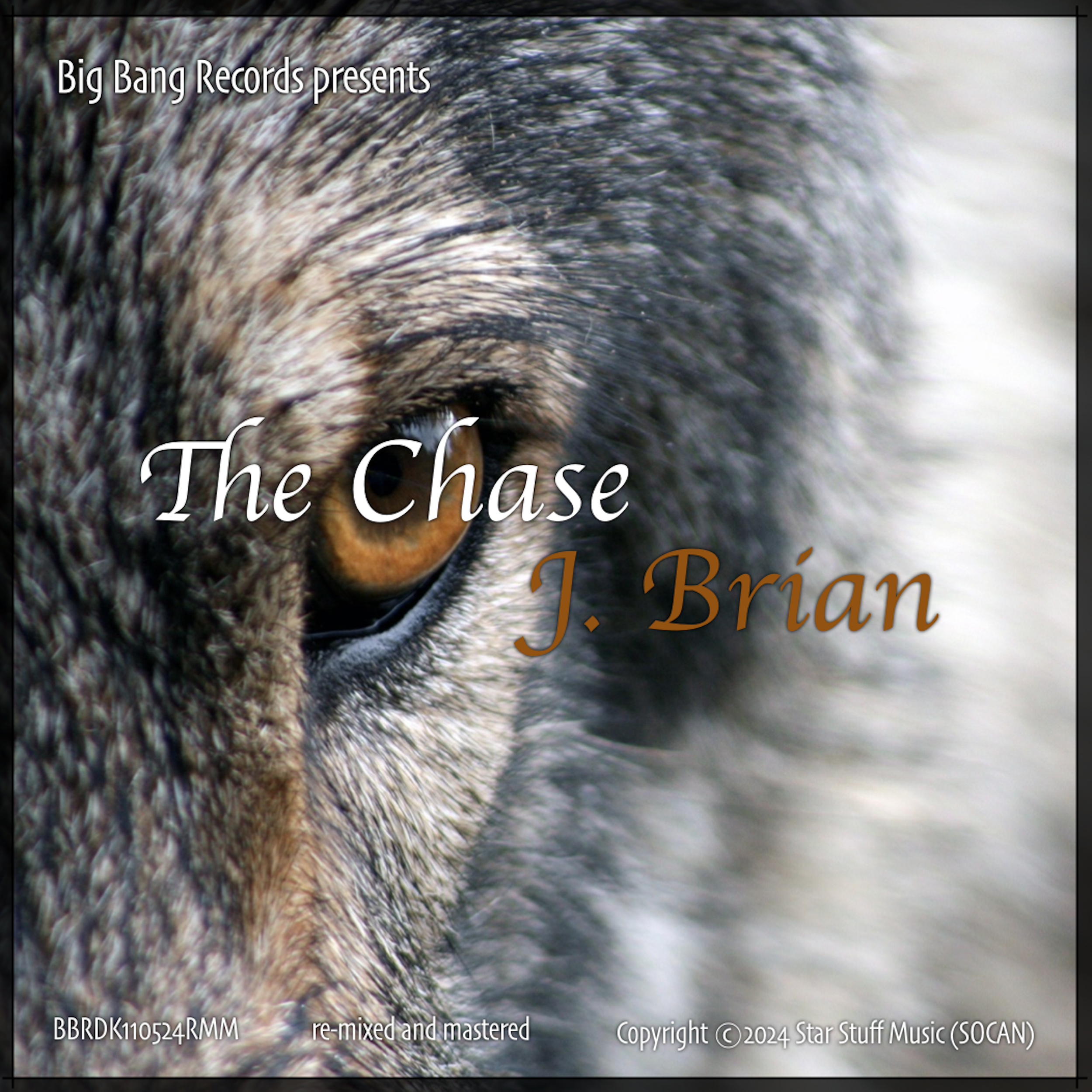 Close-up of a wolf's eye and fur with text overlay about the album 'The Chase' by J. Brian.