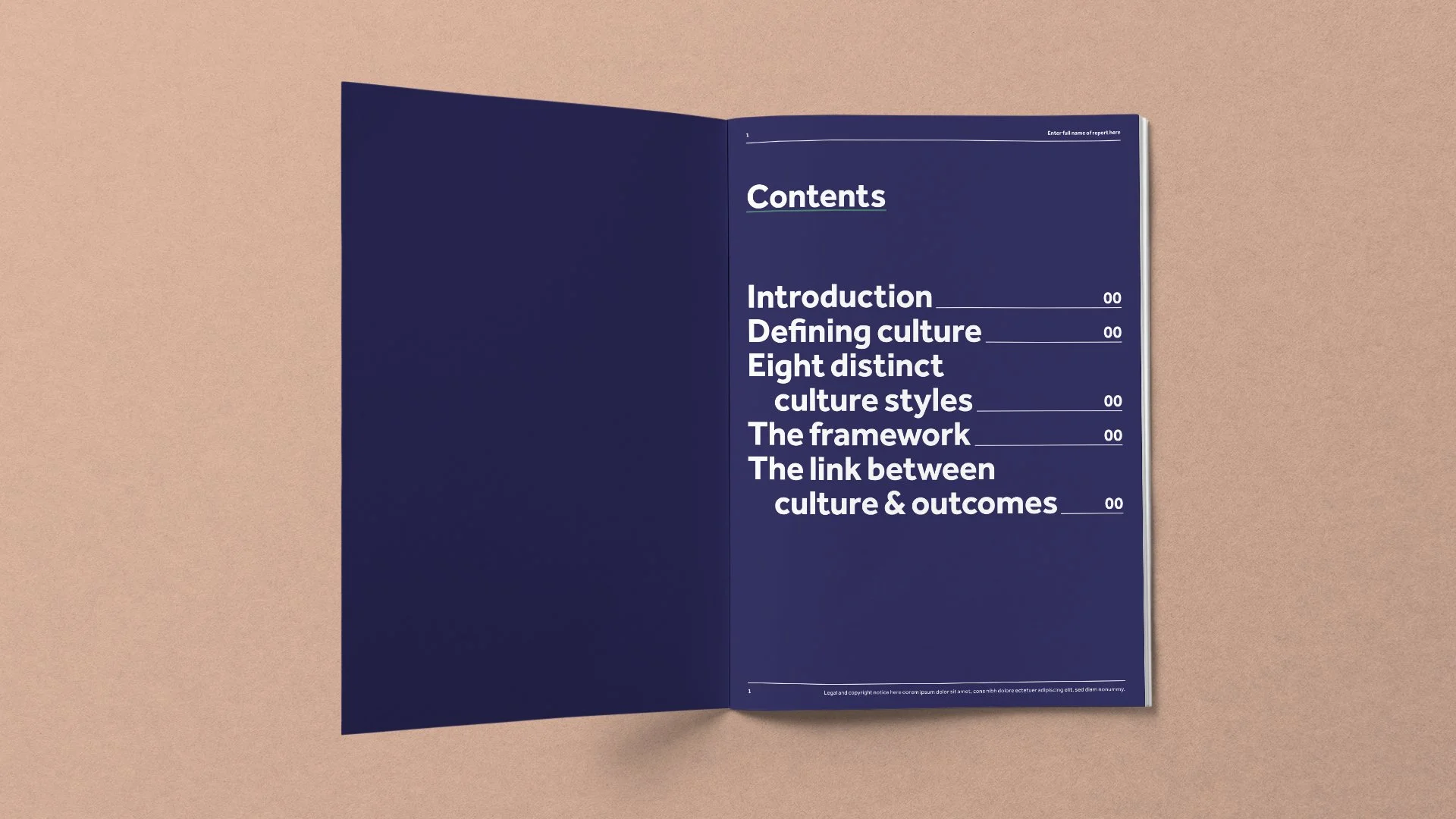 modern designed printed business brochure on light coloured background