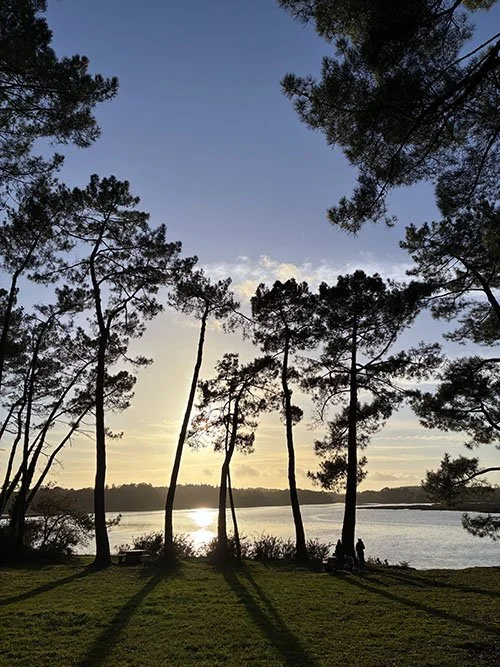 Rivière ou lac bordé de pins, coucher de soleil ou lever de soleil avec un ciel clair.