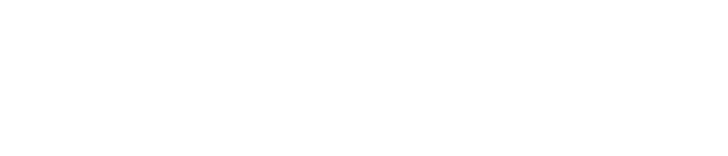 Amsterdam Fiber
