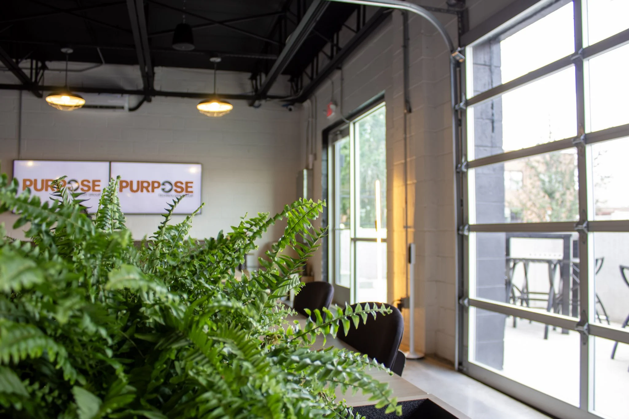 A close up photograph of a plant in a modern office event space with two screens and garage doors opening to a patio.