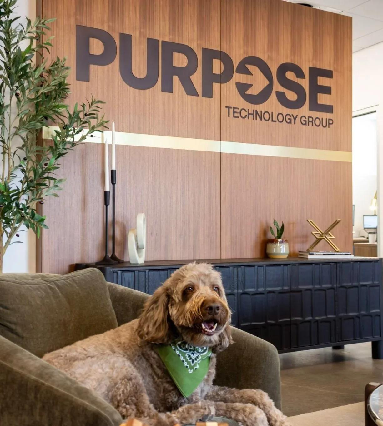 A brown dog with a green bandana sitting on a sofa in an office lobby, with a wooden wall behind it displaying the logo 'PURPOSE TECHNOLOGY GROUP' and modern decor including candles, a small plant, and decorative items.