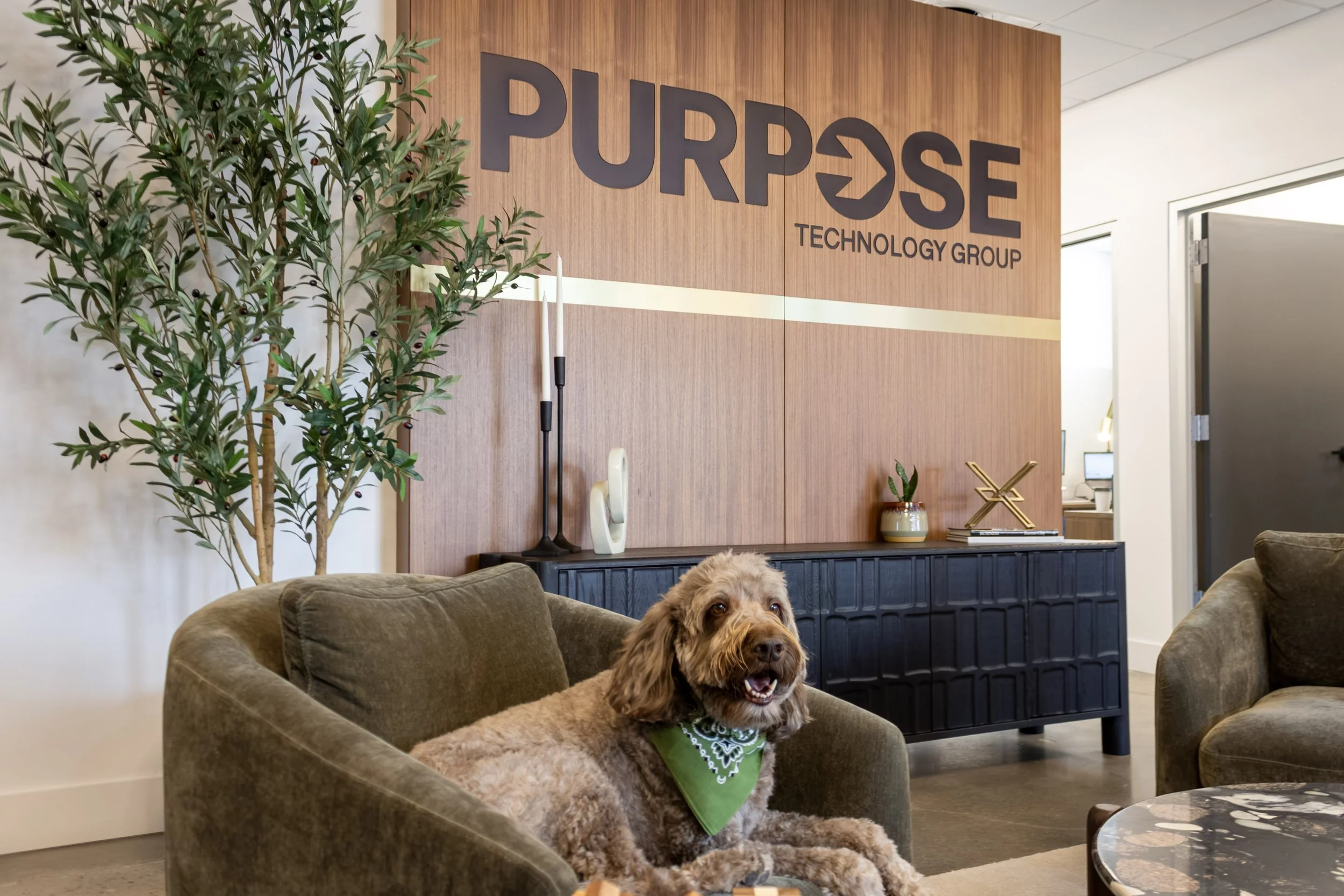 An interior office space featuring a large wooden wall with the company name 'PURPOSE TECHNOLOGY GROUP' in black letters. In front of the wall, a brown dog with curly fur and wearing a green bandana is sitting on a beige couch, looking towards the camera with its mouth open. A potted plant and some decor items are positioned against the wall, and part of an open doorway is visible on the right side.