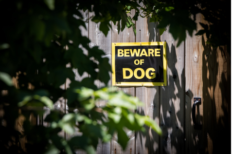 beware of dog sign