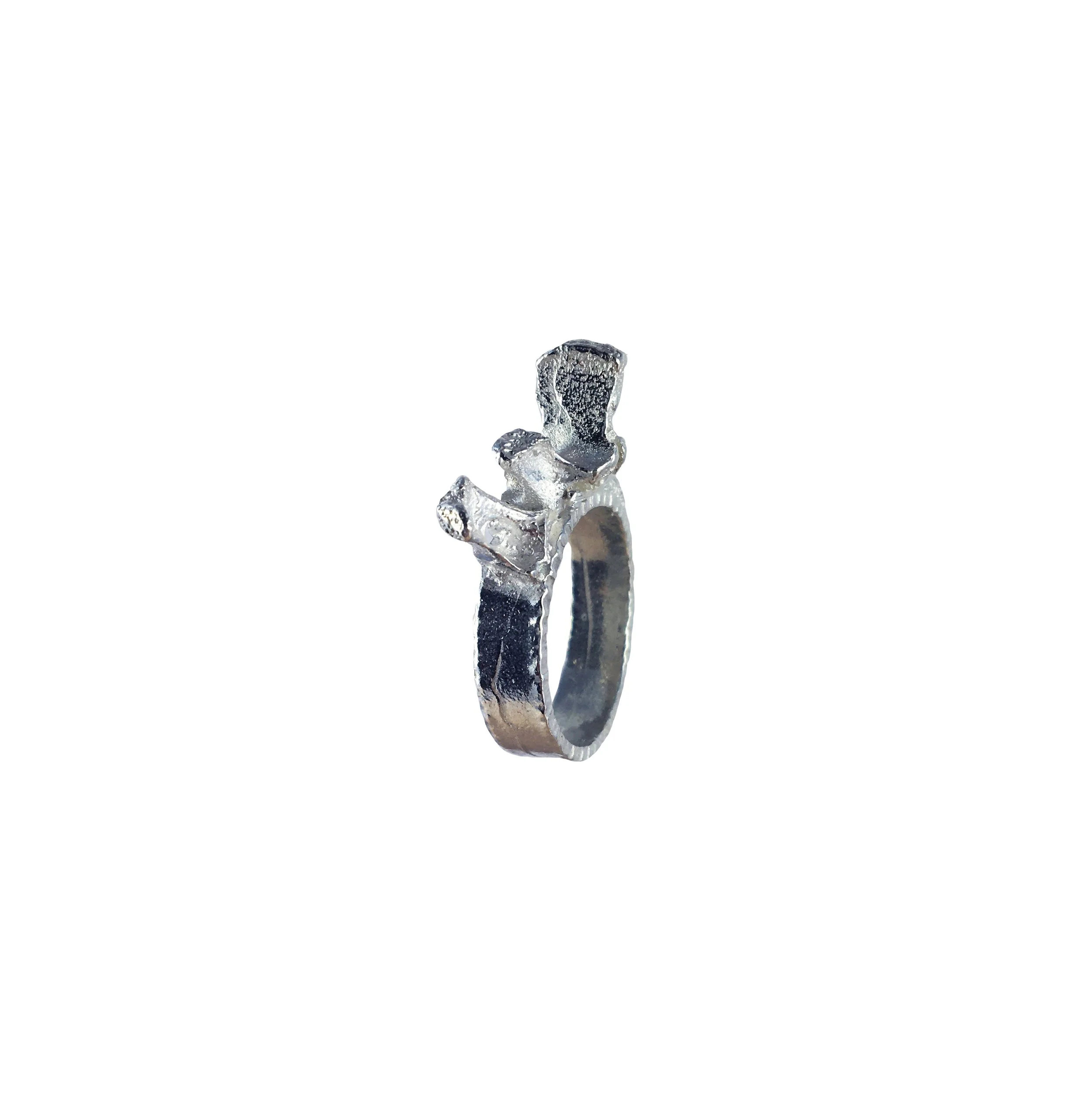 crown ring 4 white.jpg