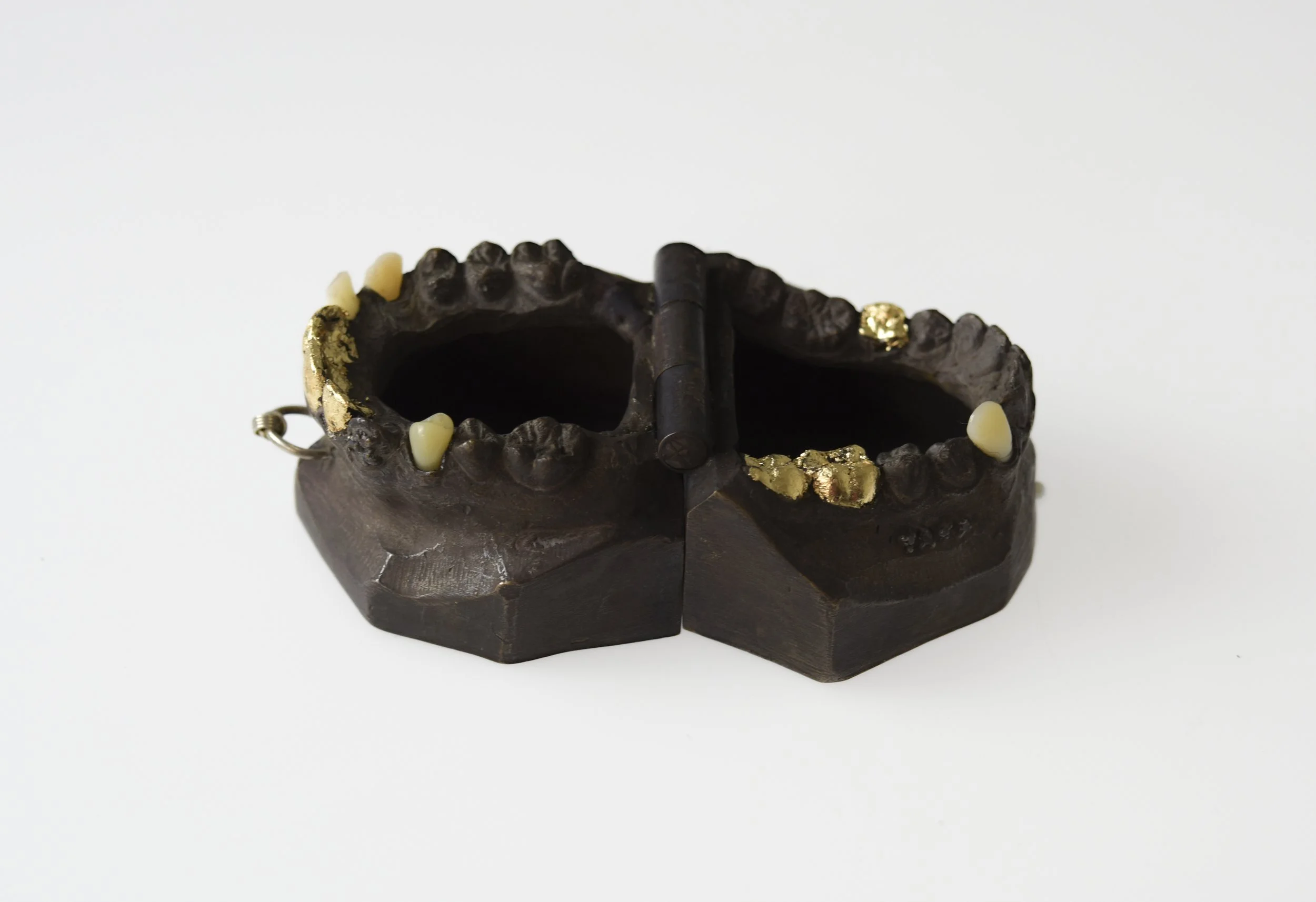 boxteethopen.jpg