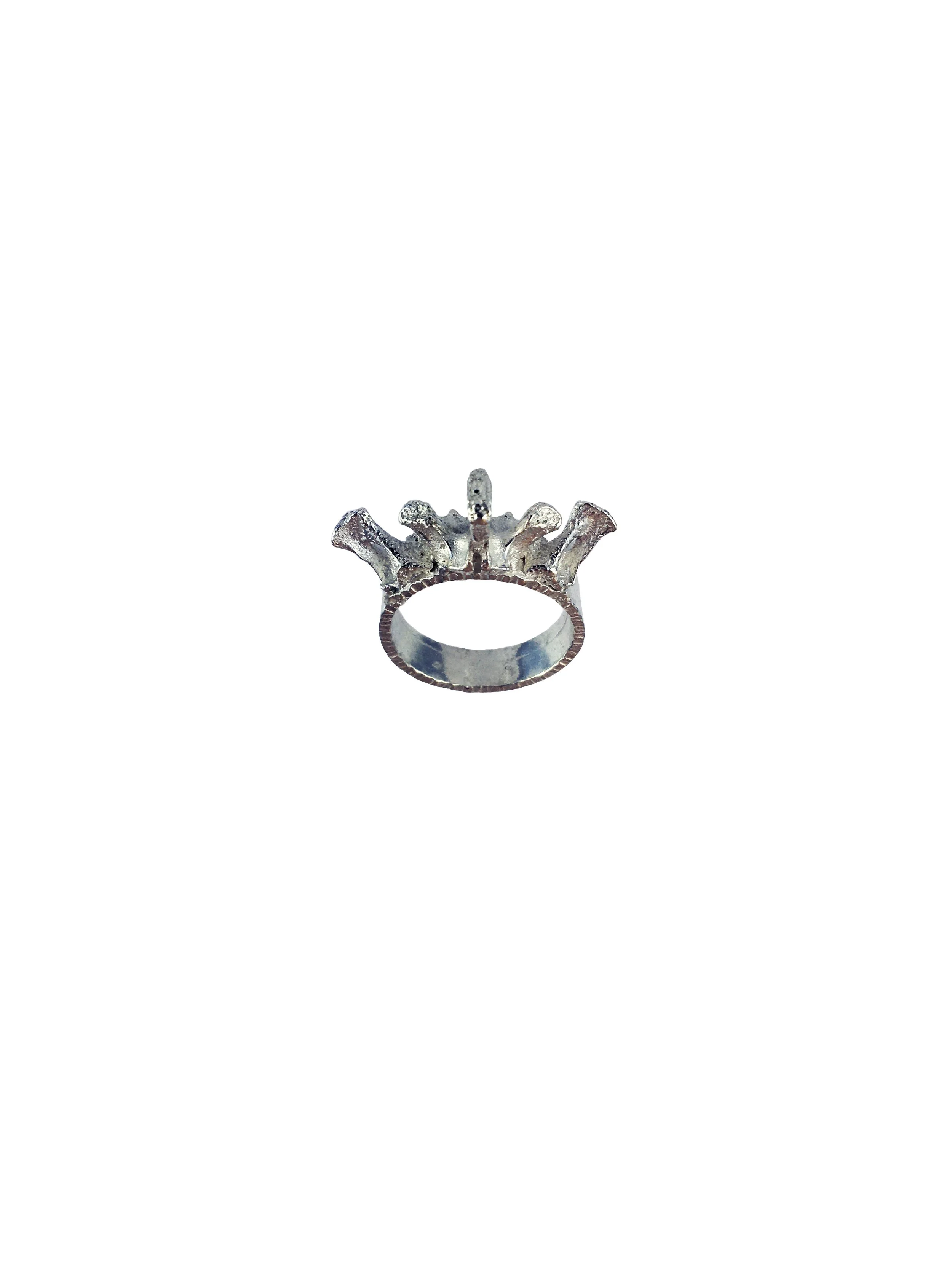crown ring2 white.jpg