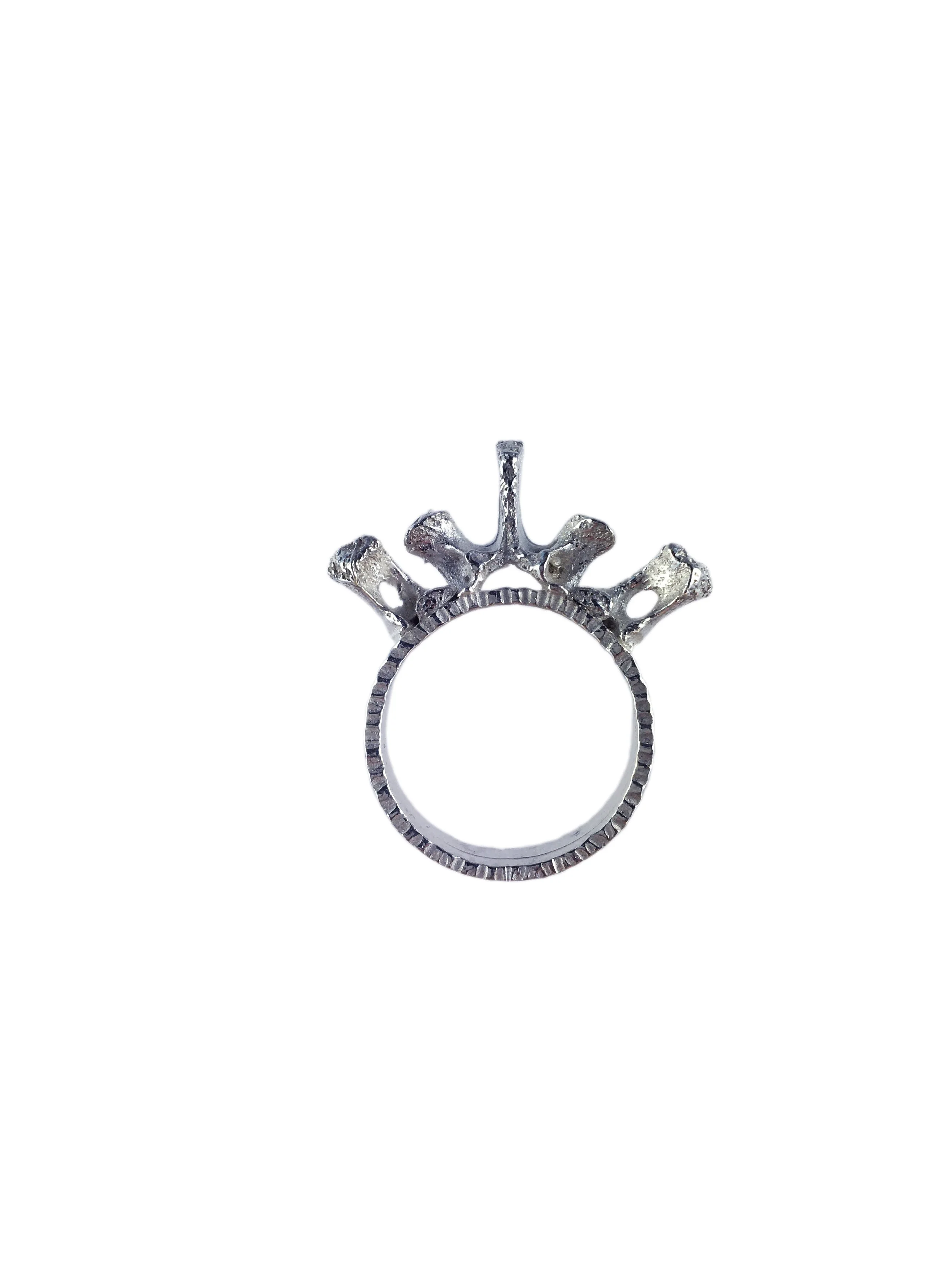 crown ring1 white.jpg