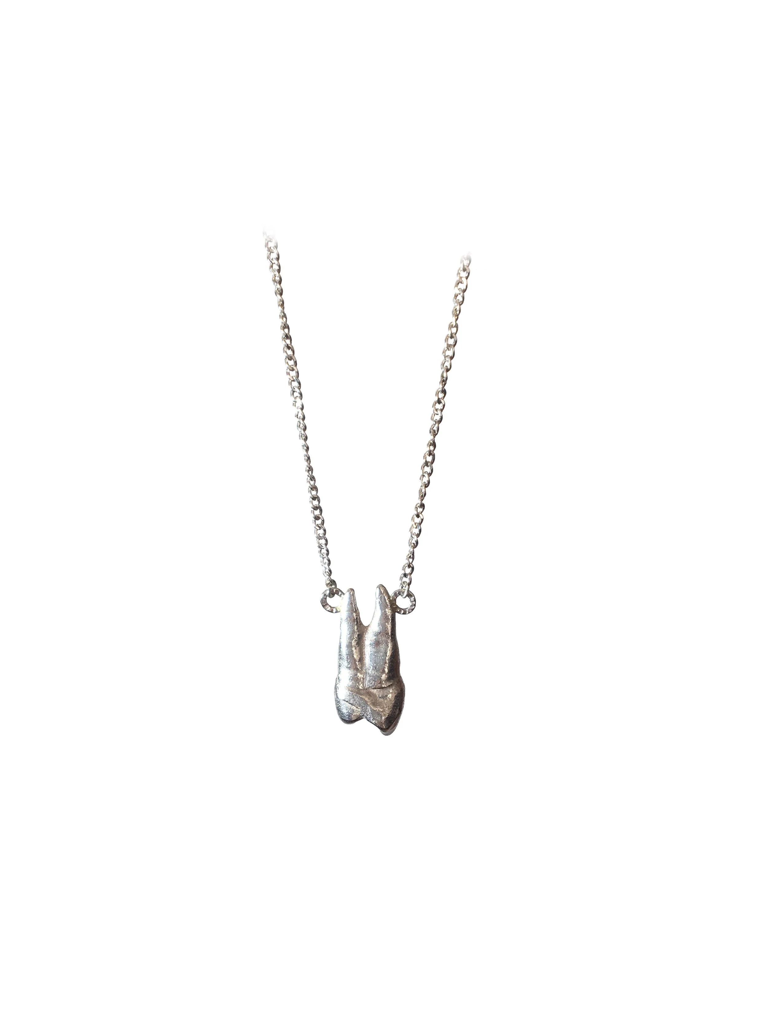 tooth root pendant edit.jpg