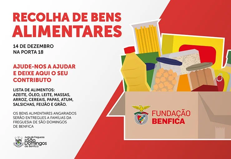 Recolha-Alimentos_740.jpg