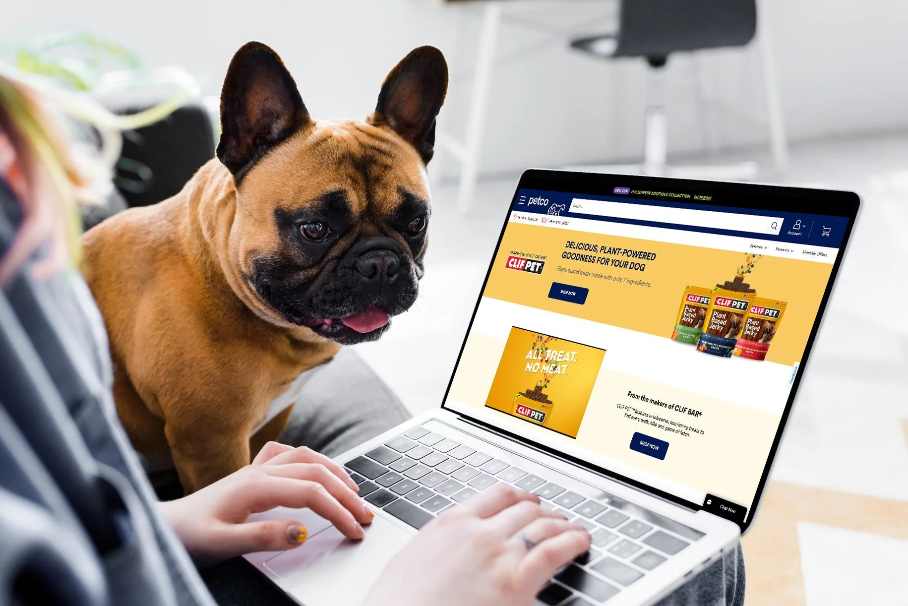 A design mockup of the Clif Pet website shown on a person's laptop. A happy dog looks at the webpage.