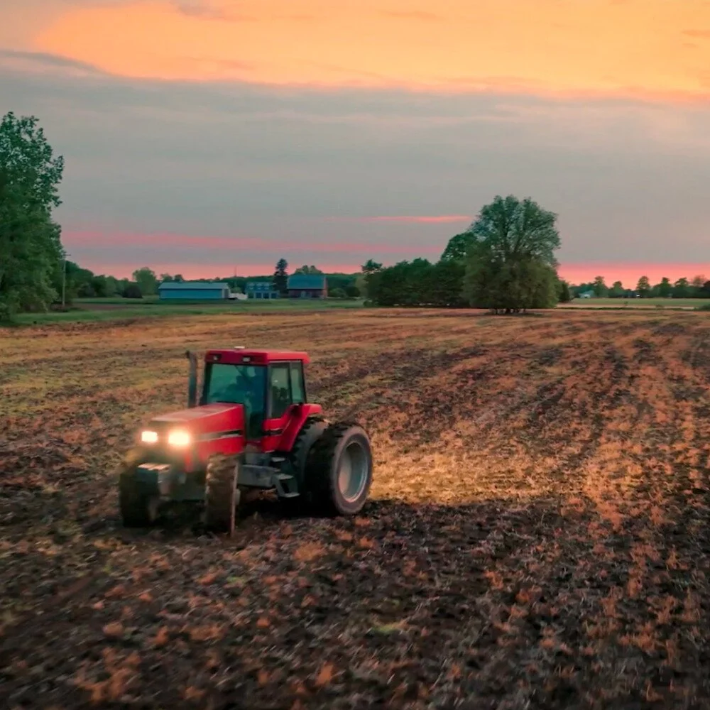 Harvest Season