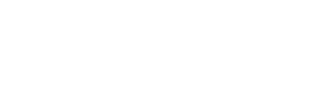 North American International Detroit Auto Show logo