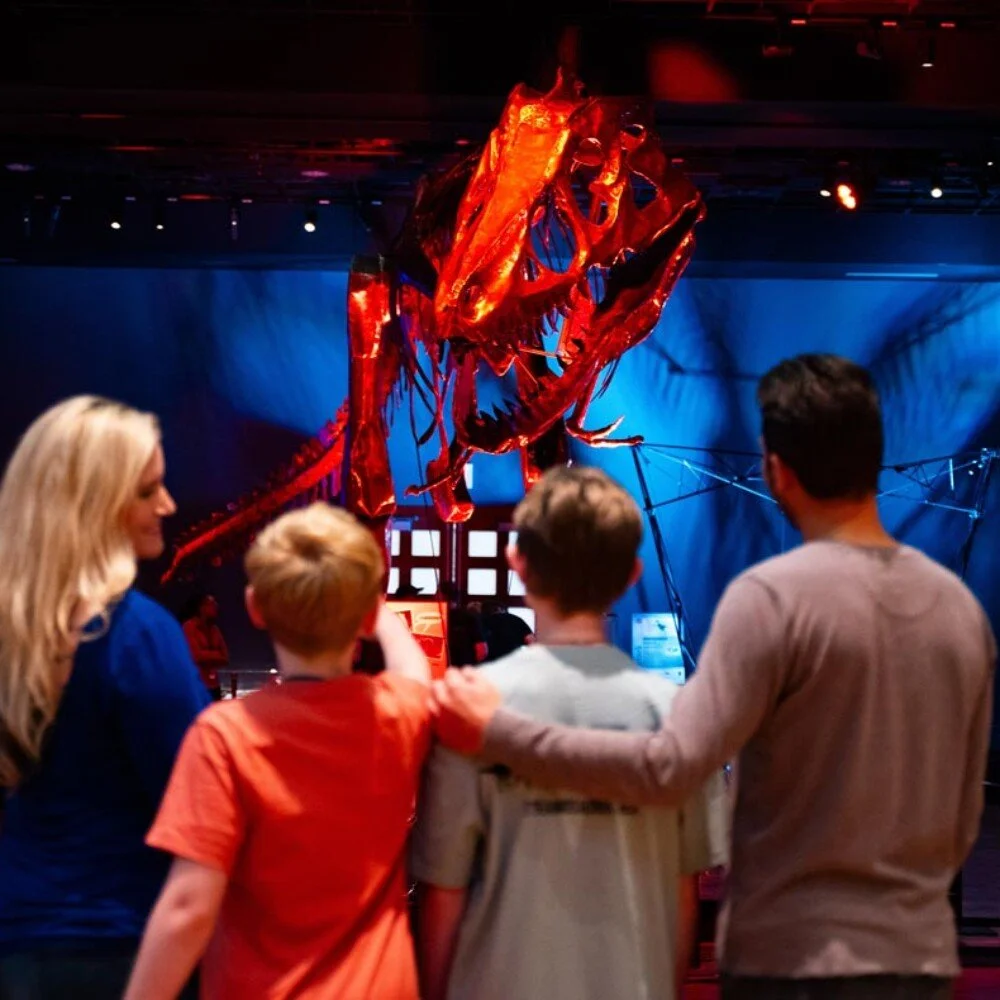 Dinosaurs in Motion