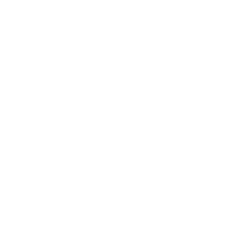 Black and white downward arrow logo above bold text reading “BLUNT.”
