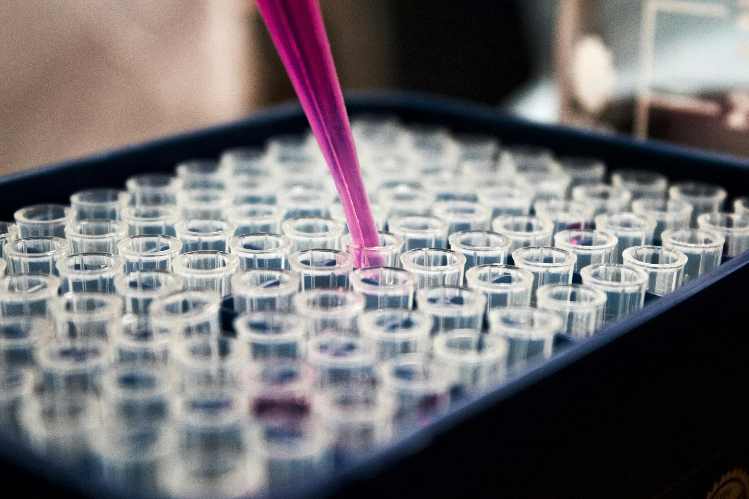 A laboratory tray with multiple small test tubes, some containing pink liquid, and a pipette adding pink liquid into one of the test tubes.