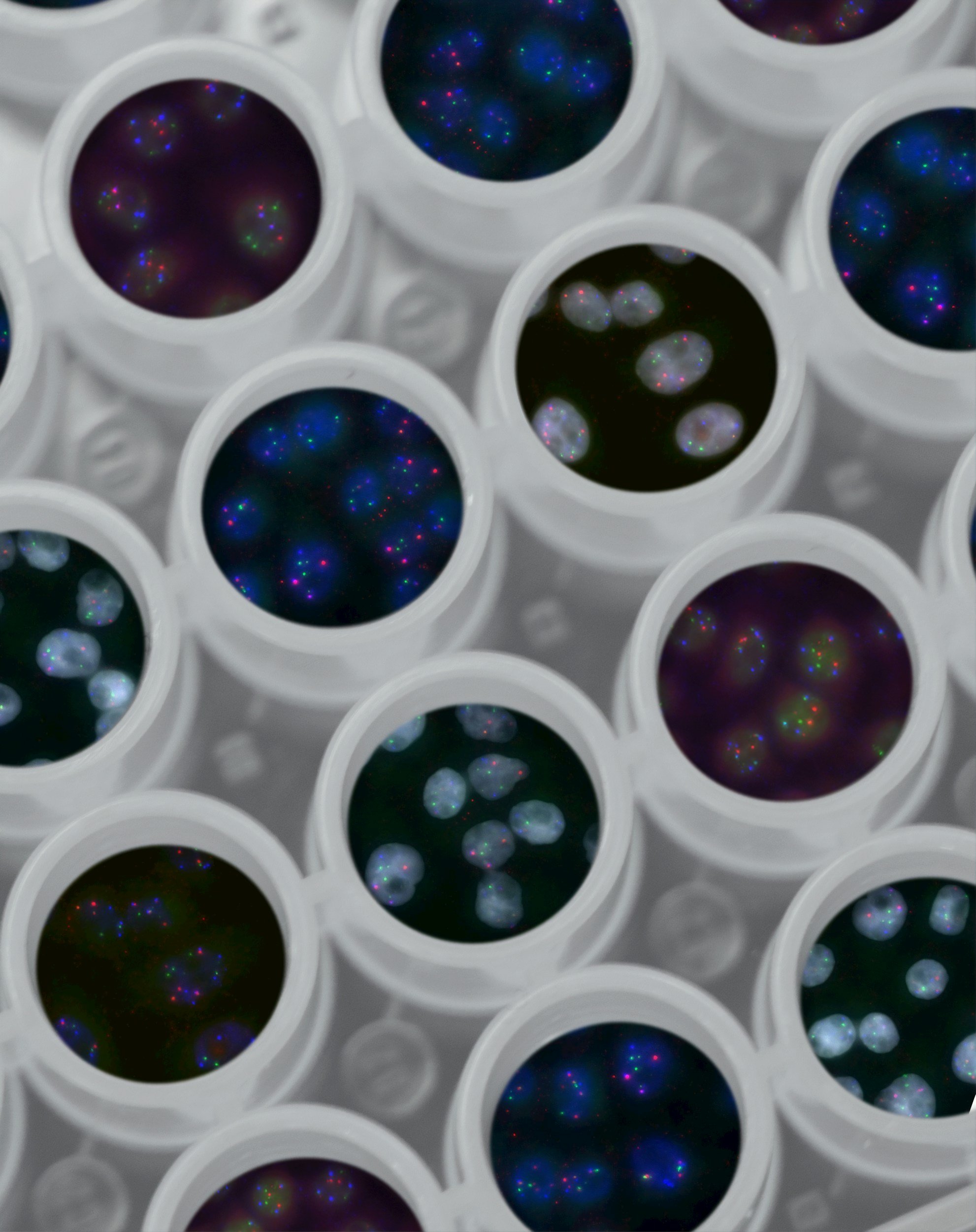 This investment vehicle is designed to create widespread impact across leading funds to support new diagnostics, treatments and cures.