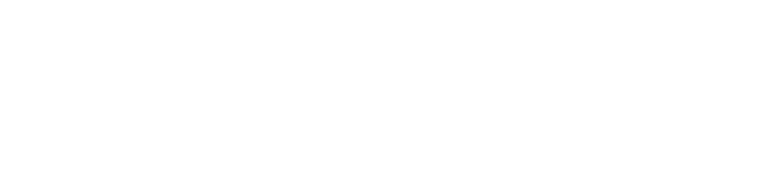 The Point