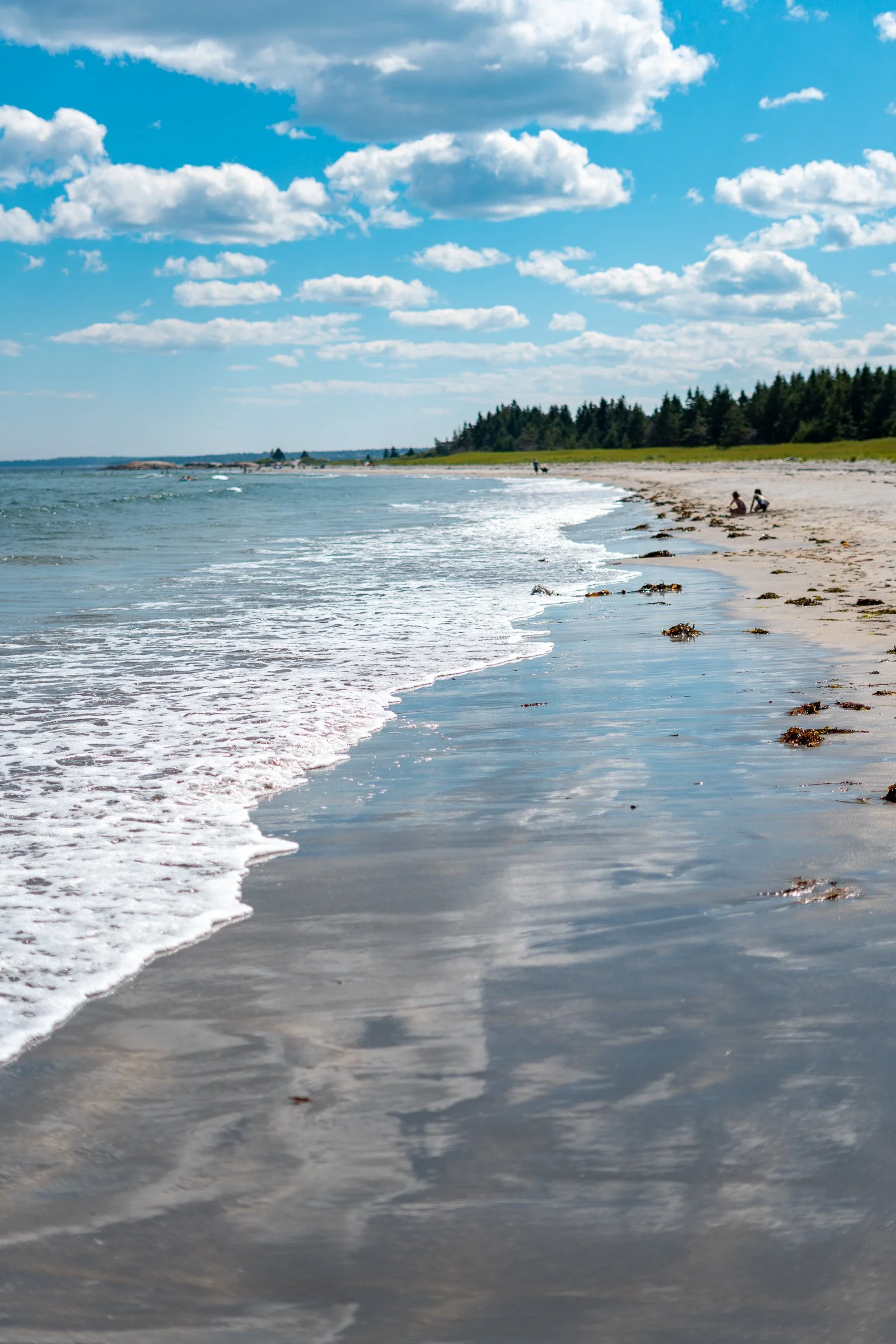 The image shows a beach with a shoreline, gentle waves, a partly cloudy blue sky, and some people sitting and walking on the sand, with a forested area in the background.