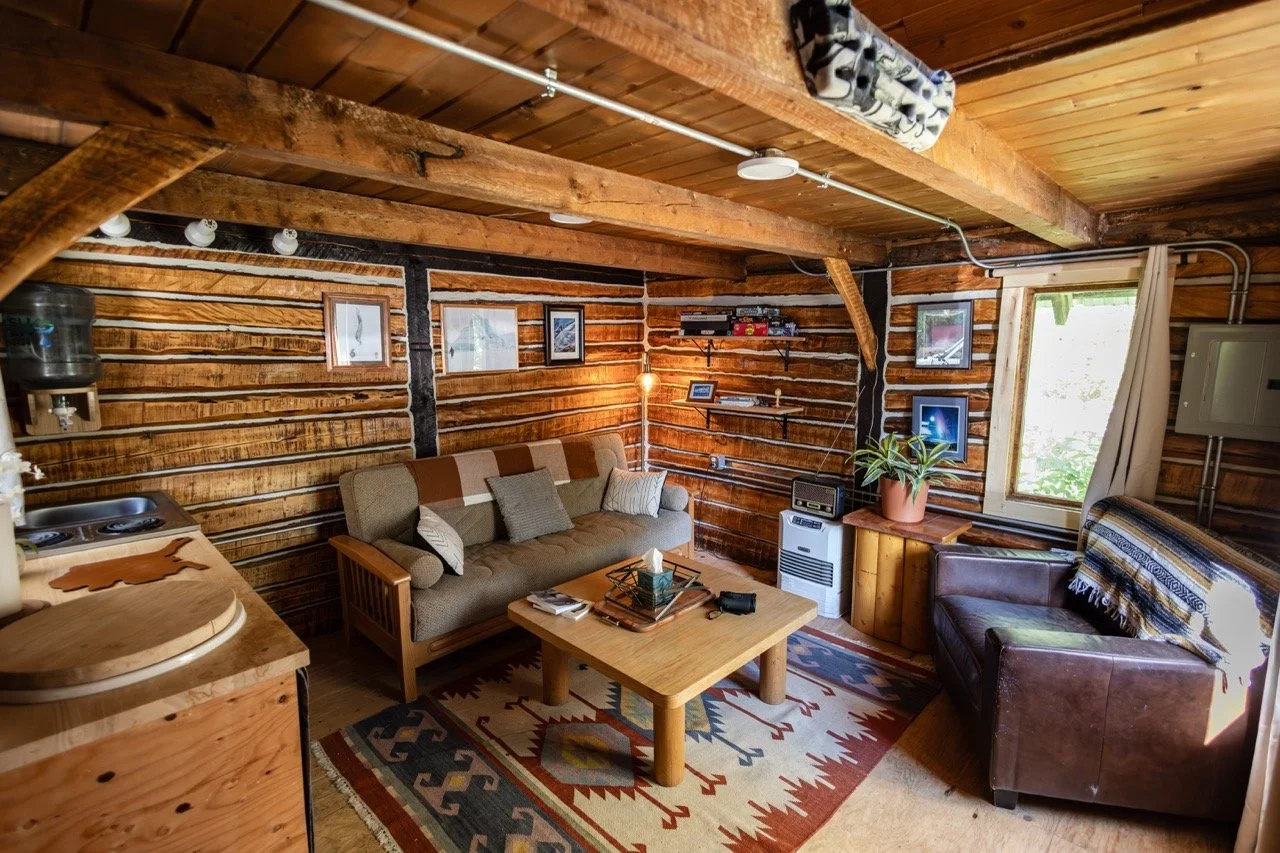 Mannix cabin living room