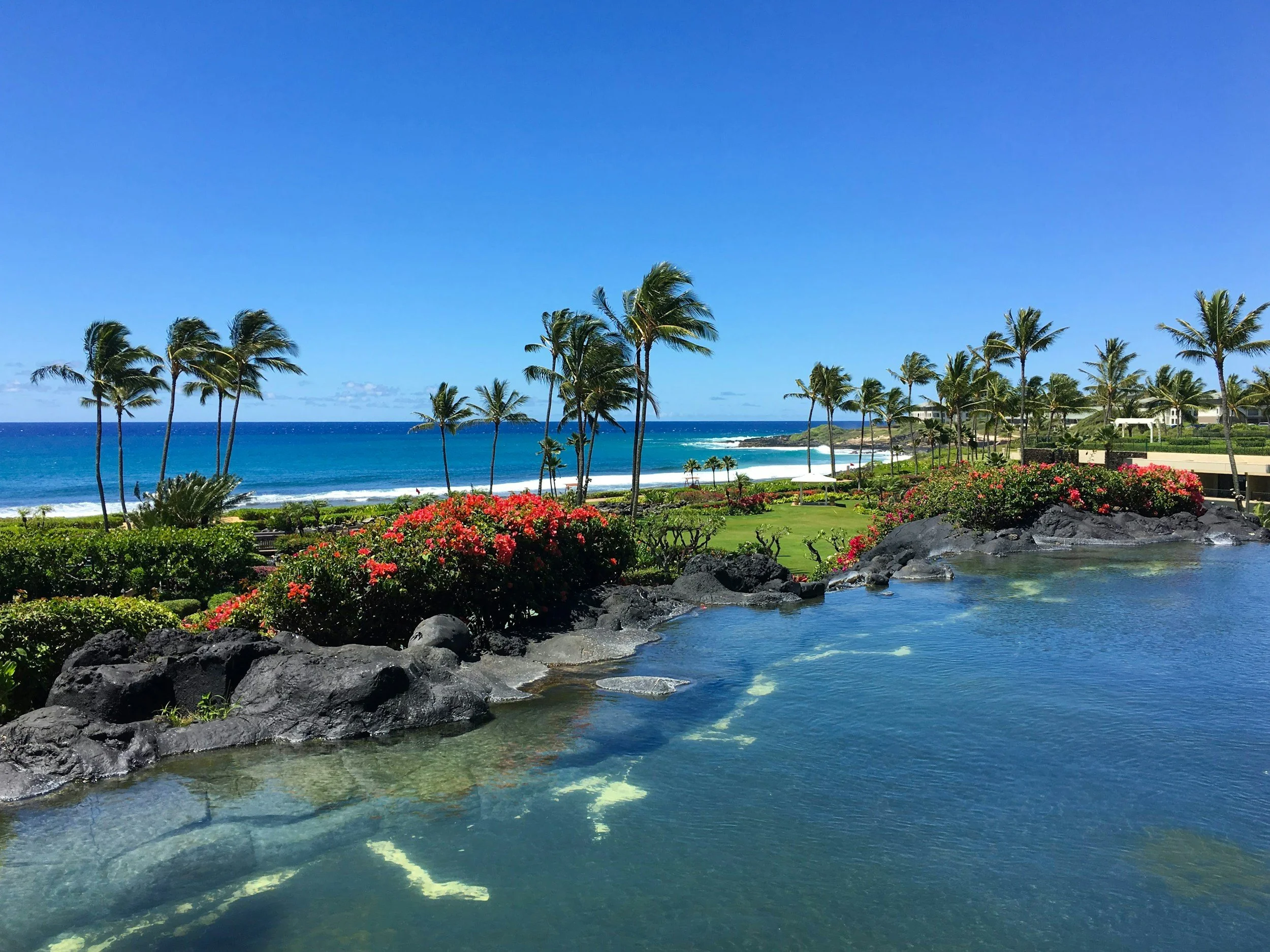 Maui Hawaii beauty